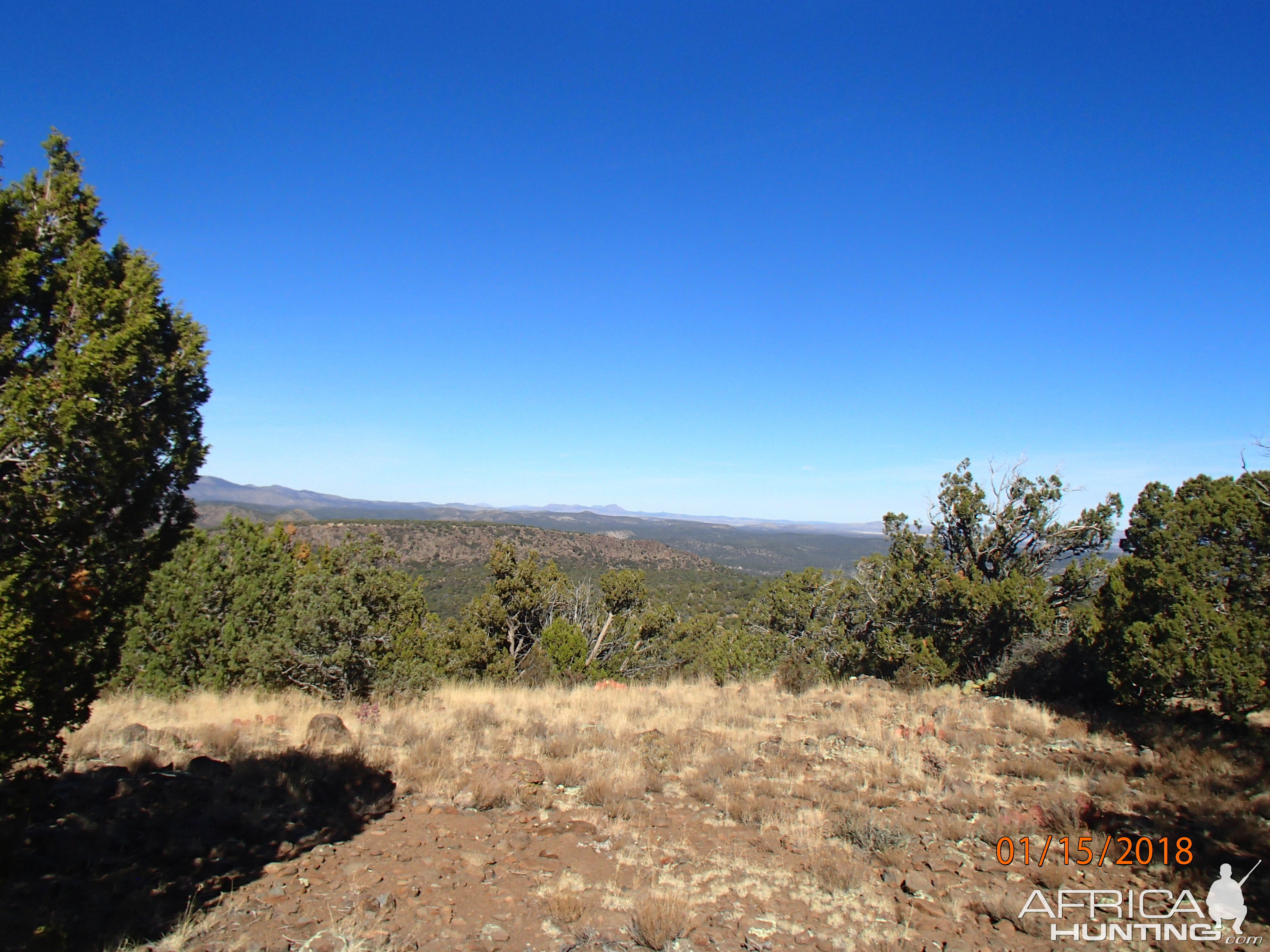 Hunting Mountain Lion Arizona