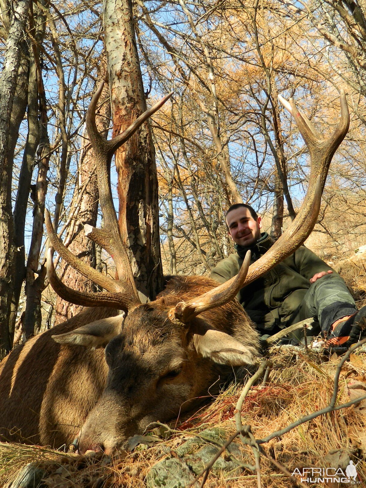 Hunting Mountain Red Stag