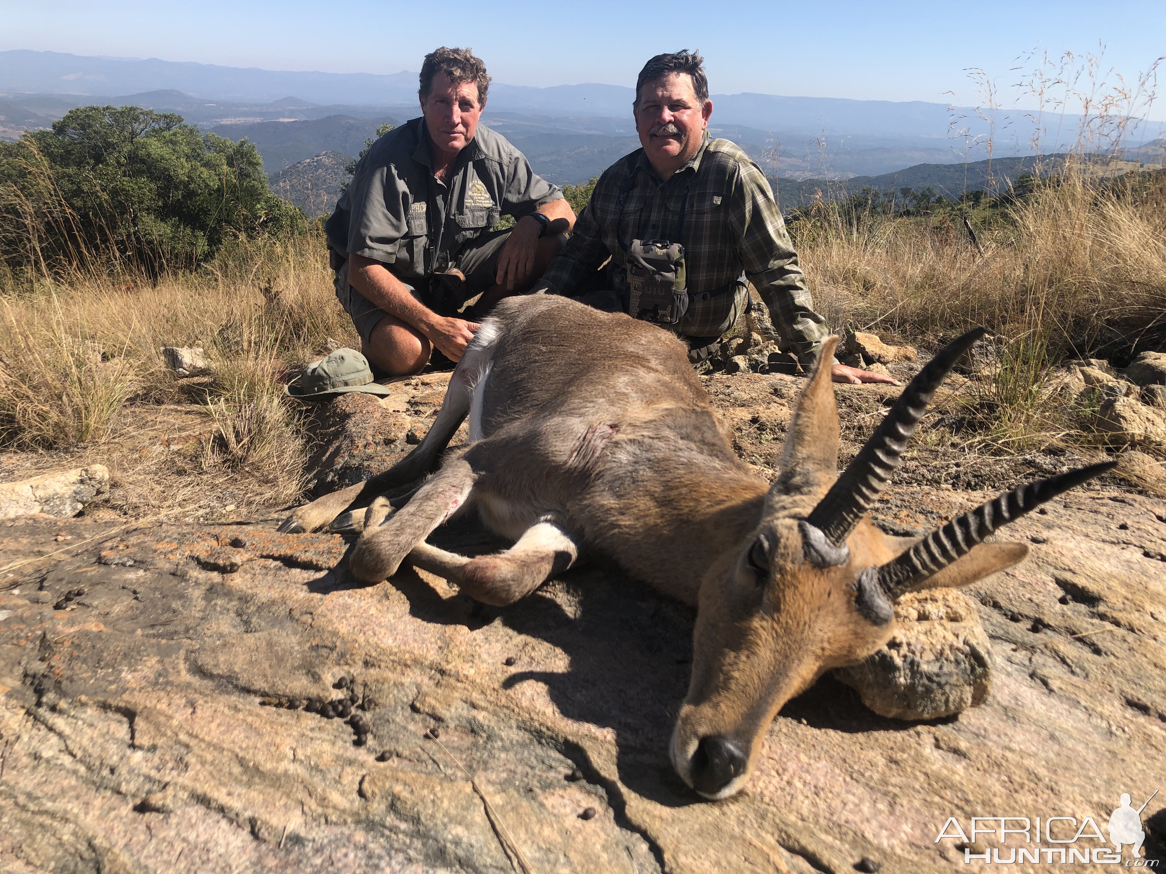 Hunting Mountain Reedbuck Mpumalanga South Africa