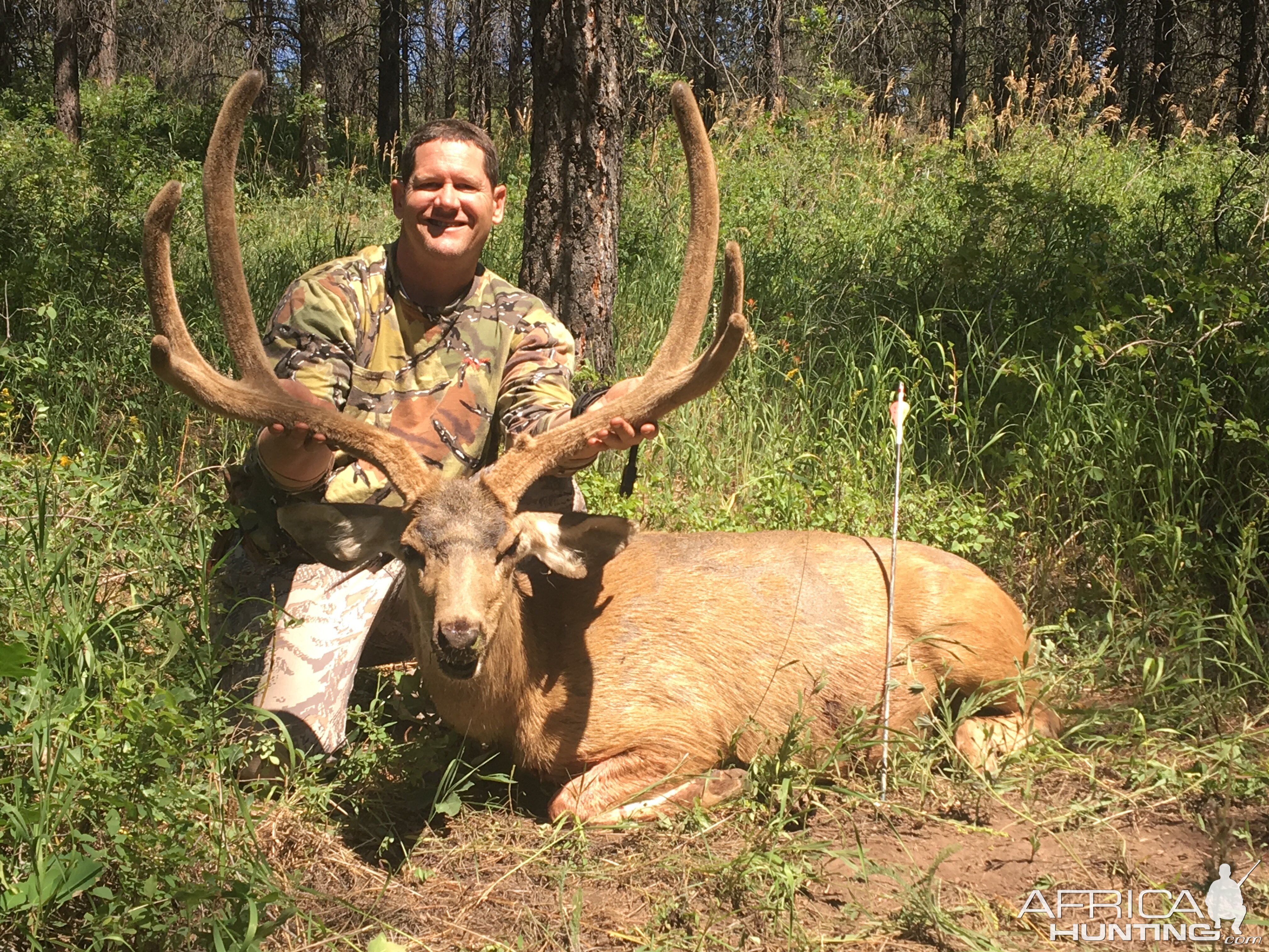 Hunting Mule Deer in Utah USA