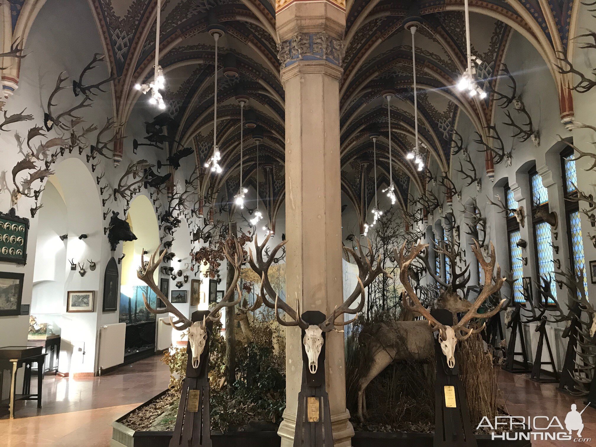 Hunting Museum in Budapest Hungary