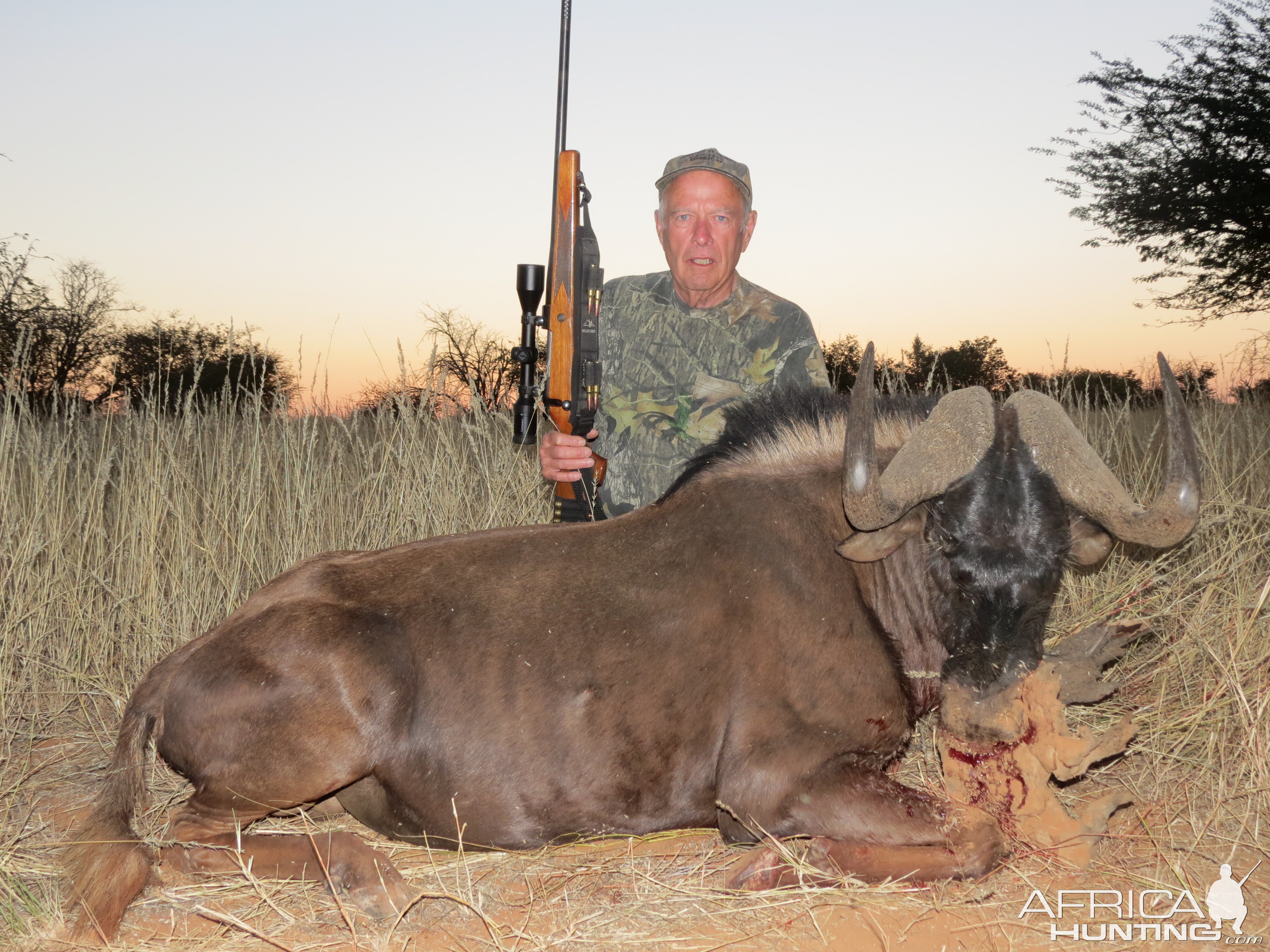 Hunting Namibia Black Wildebeest