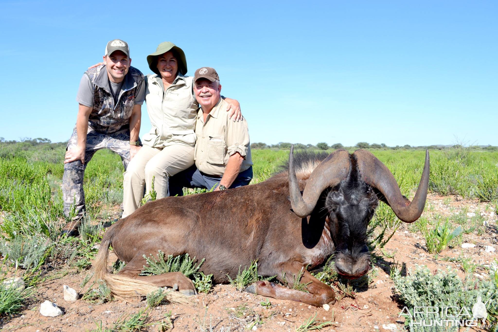 Hunting Namibia Black Wildebeest