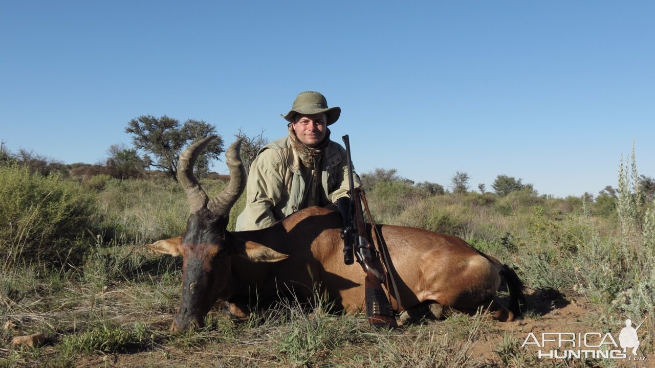 Hunting Namibia Red Hartebeest