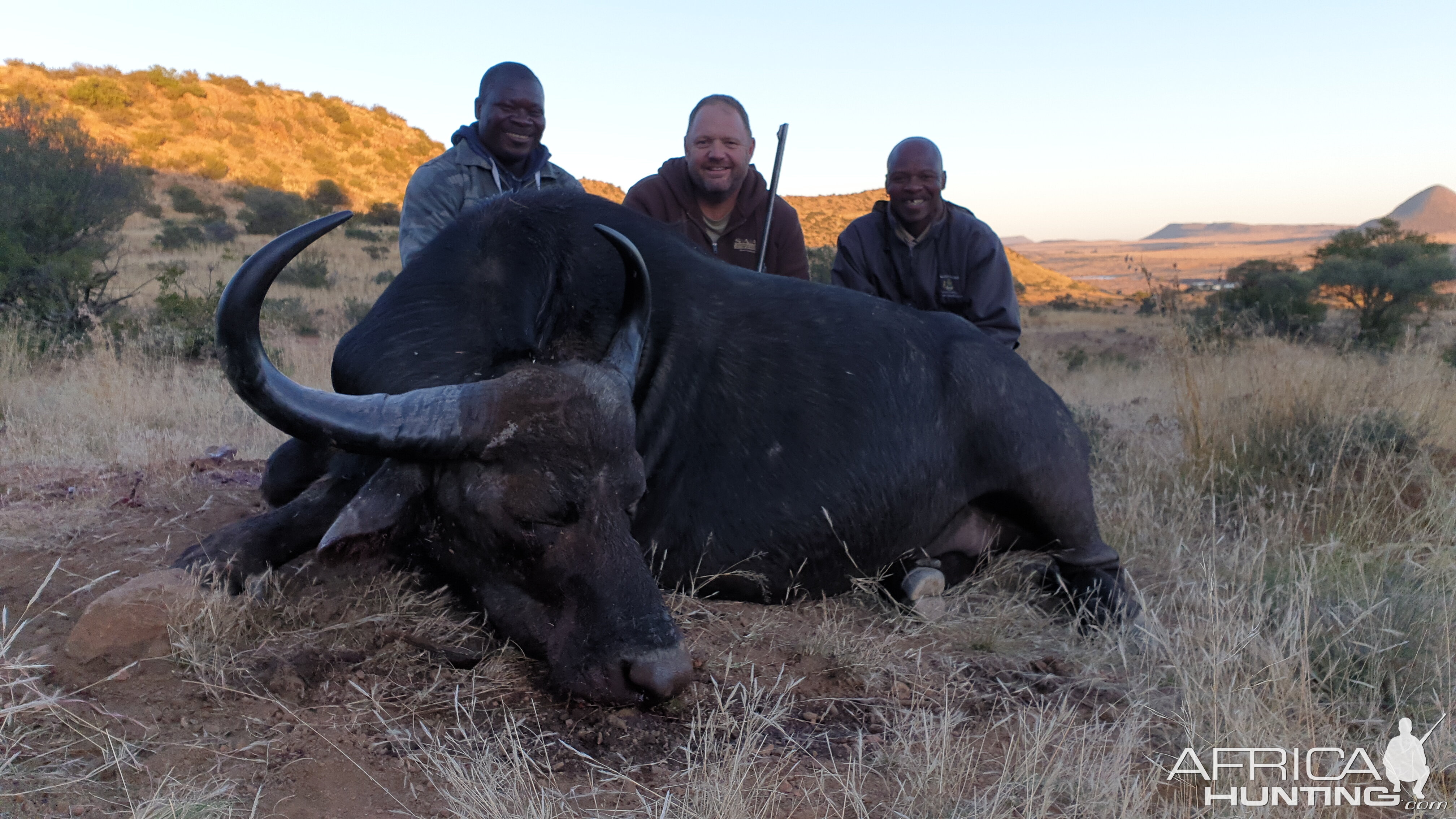 Hunting Non-exportable Buffalo Cow