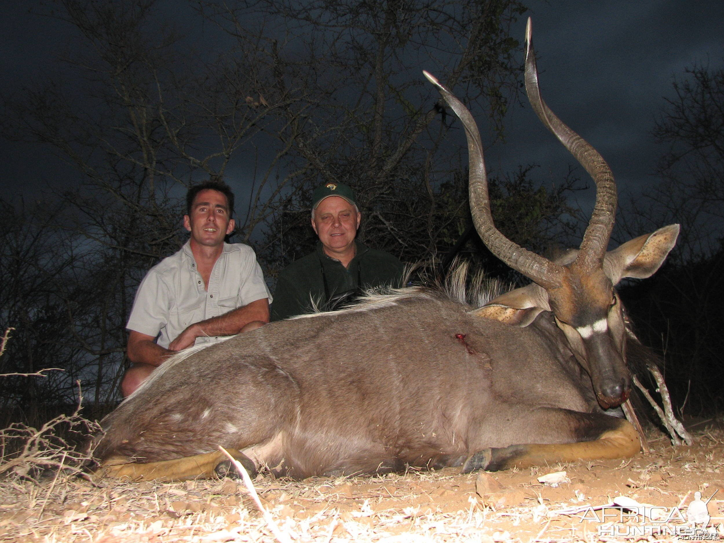 Hunting Nyala 31"