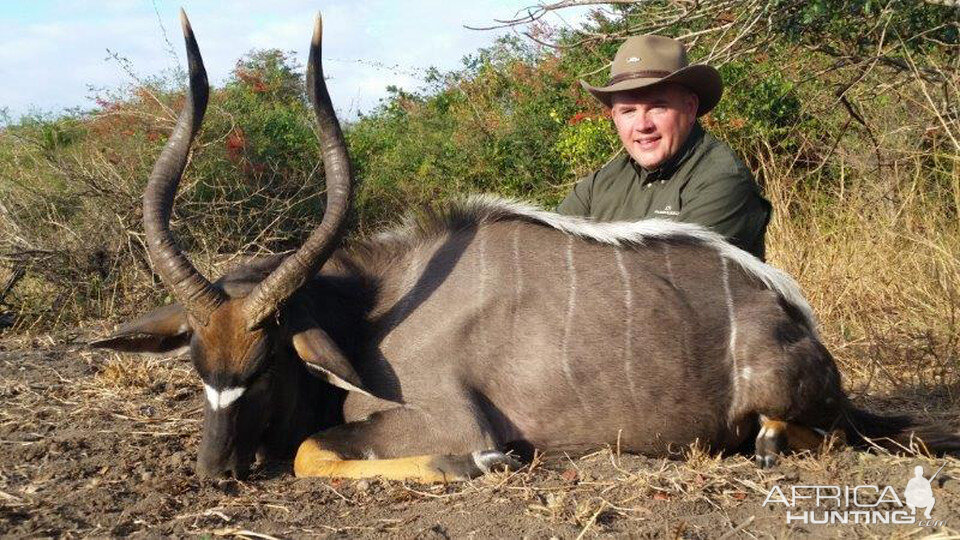 Hunting Nyala in Mozambique