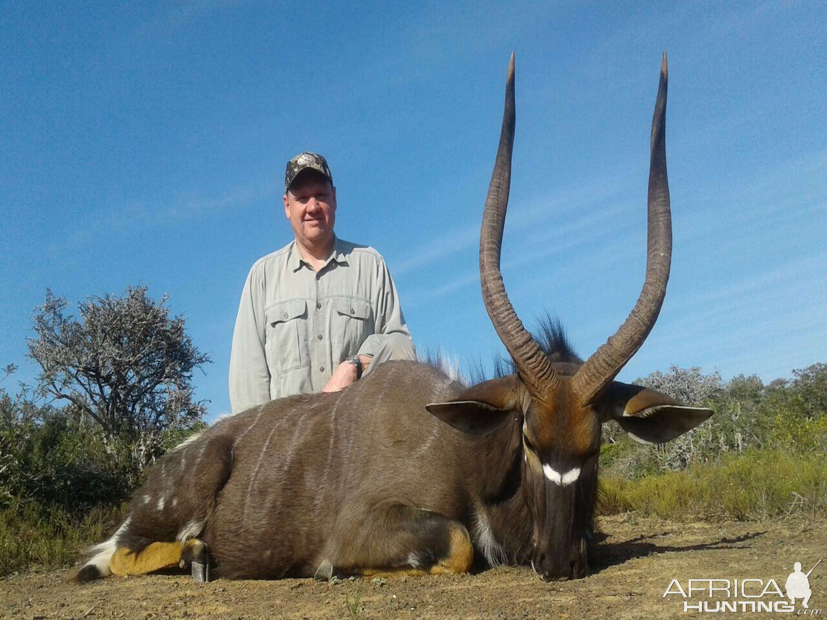 Hunting Nyala In South Africa