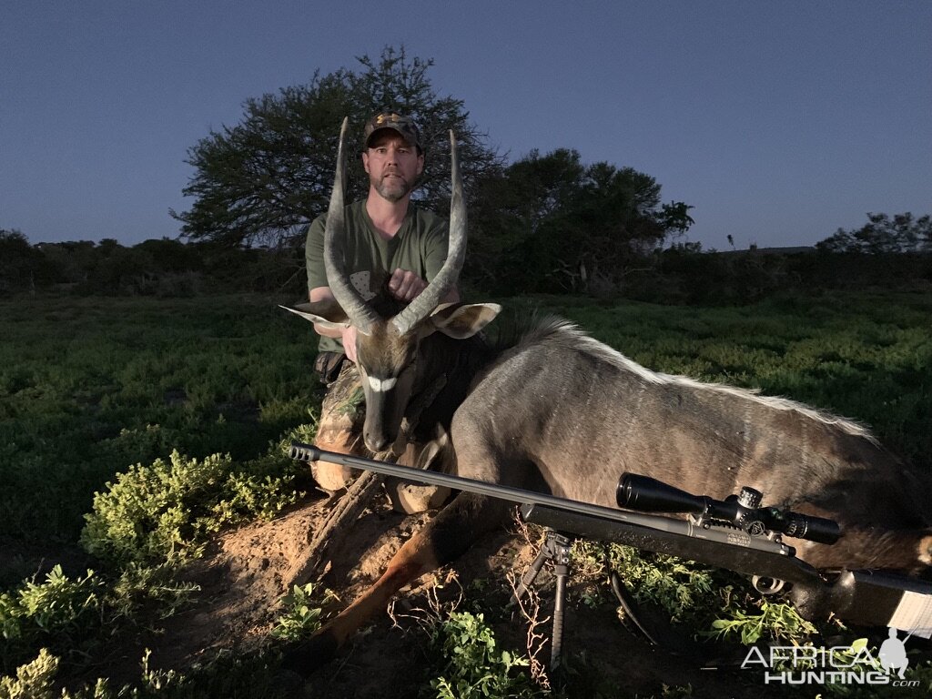 Hunting Nyala in South Africa