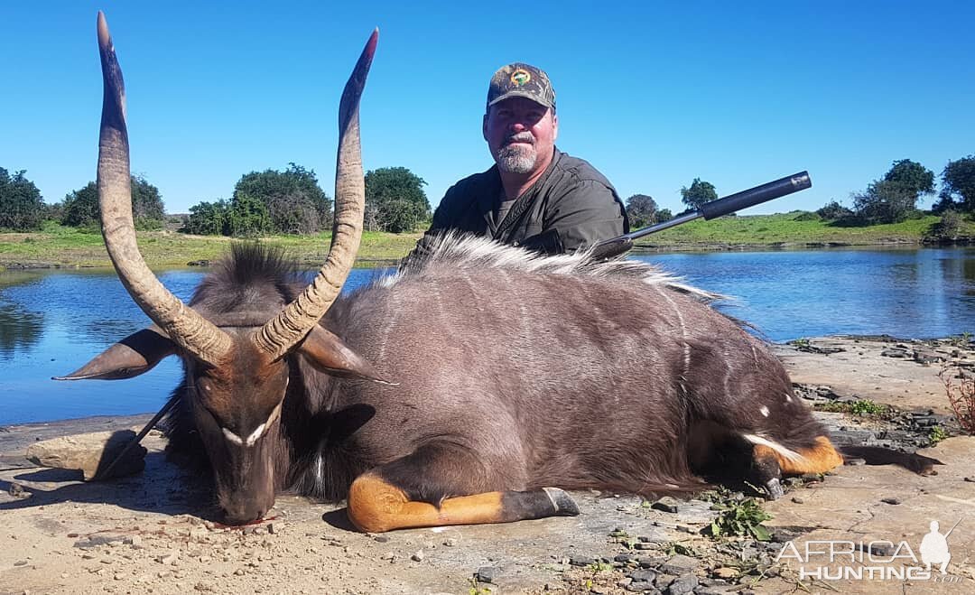 Hunting Nyala in South Africa