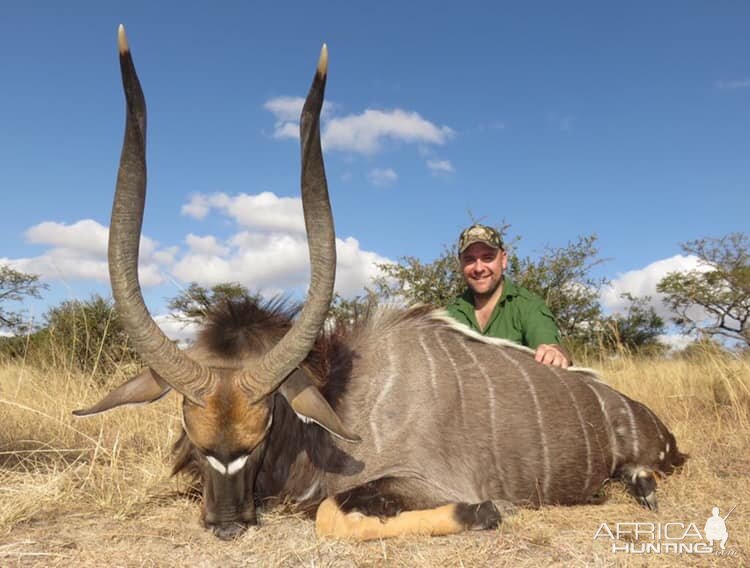 Hunting Nyala in South Africa