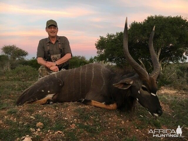 Hunting Nyala South Africa