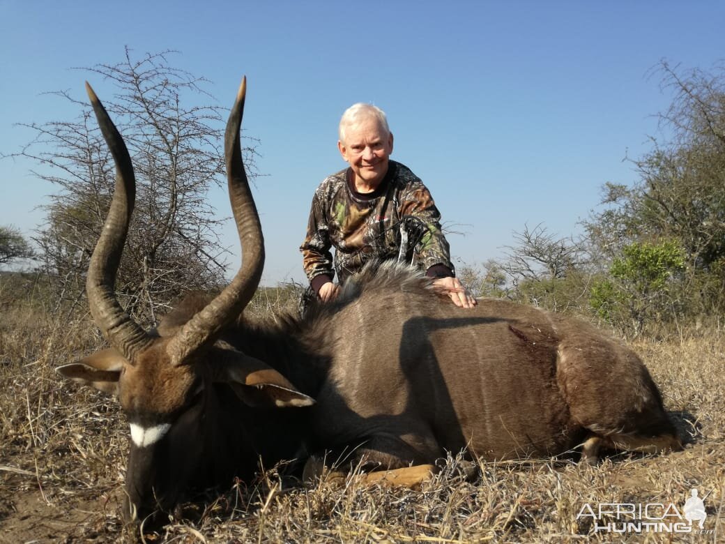 Hunting Nyala South Africa