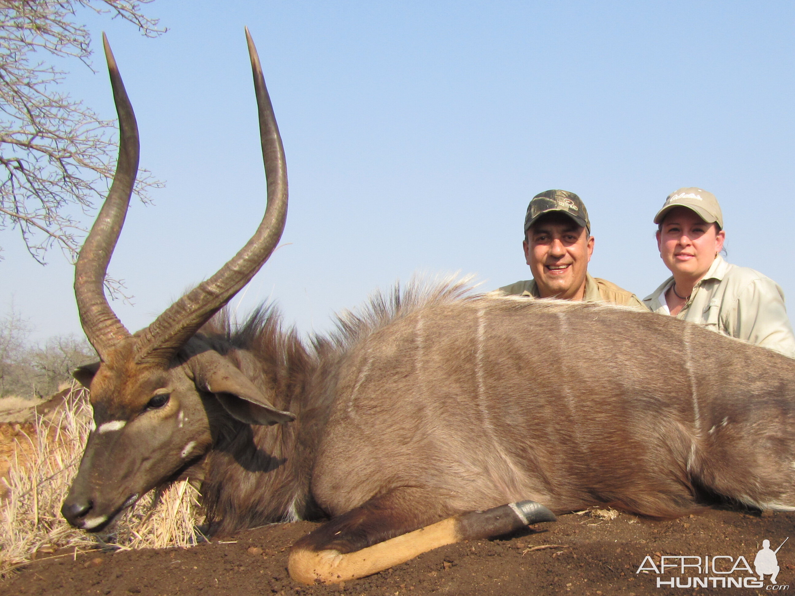 Hunting Nyala with Wintershoek Johnny Vivier Safaris in SA