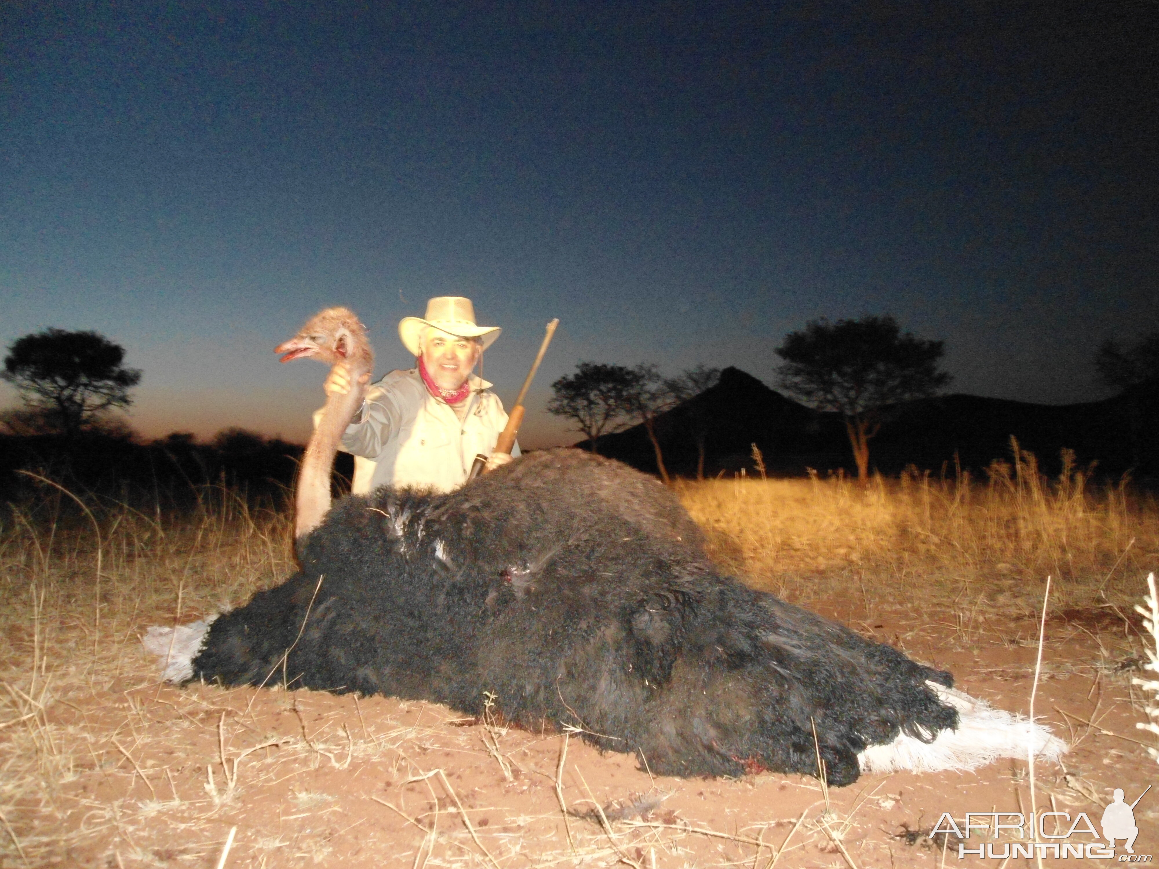 Hunting Ostrich in Namibia