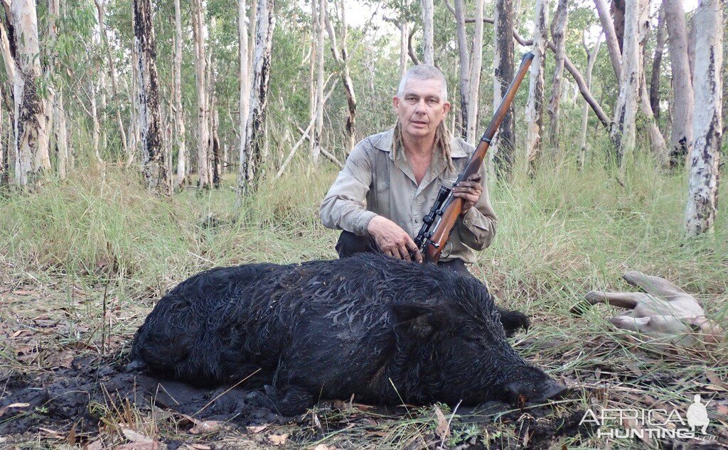 Hunting Pig Australia