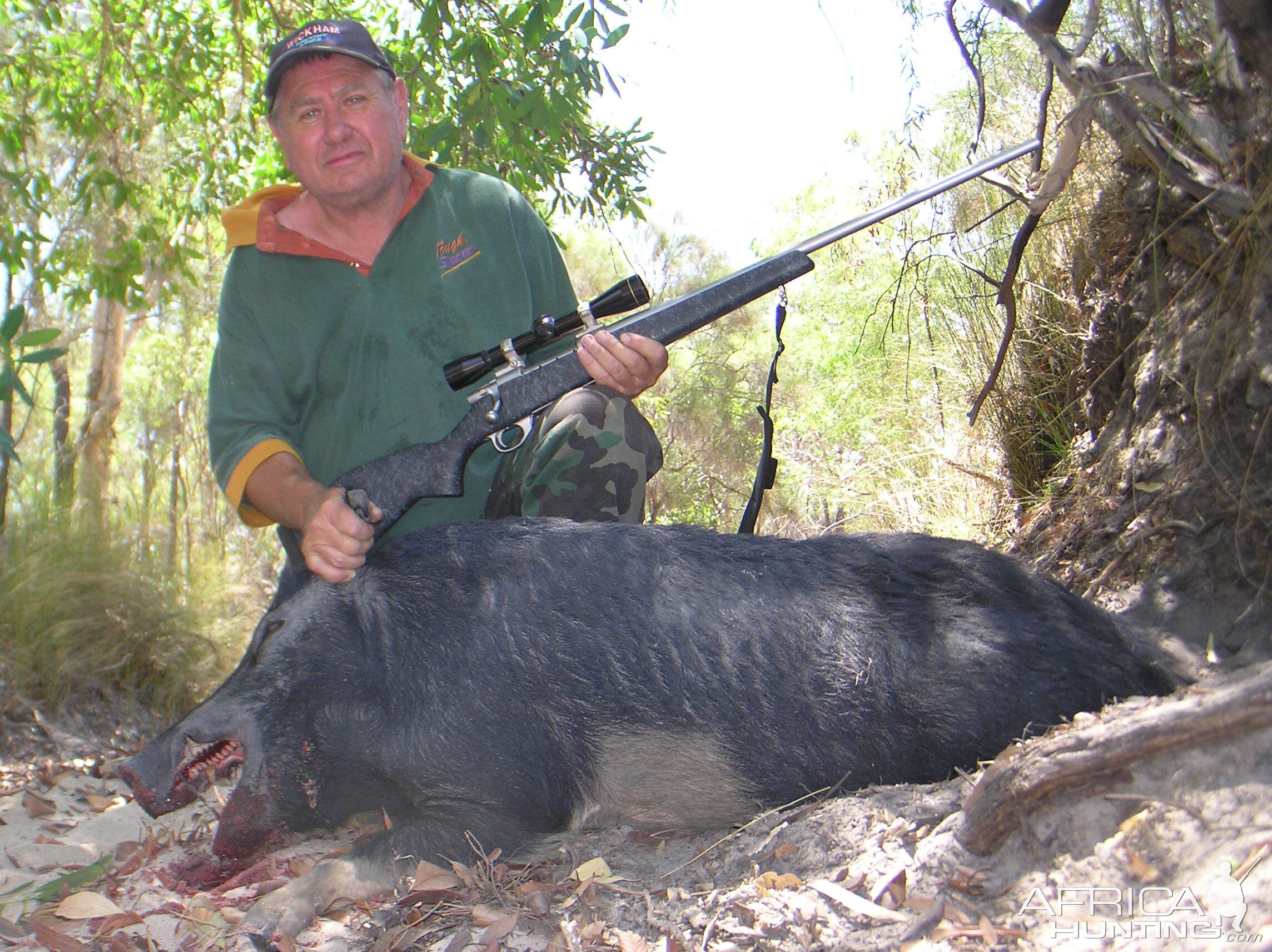 Hunting Pig Australia