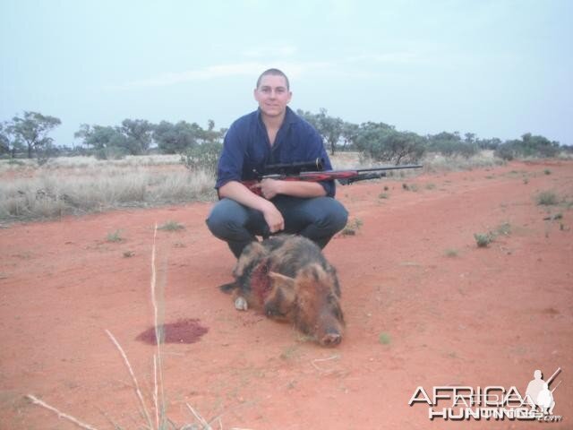 Hunting Pig in Australia