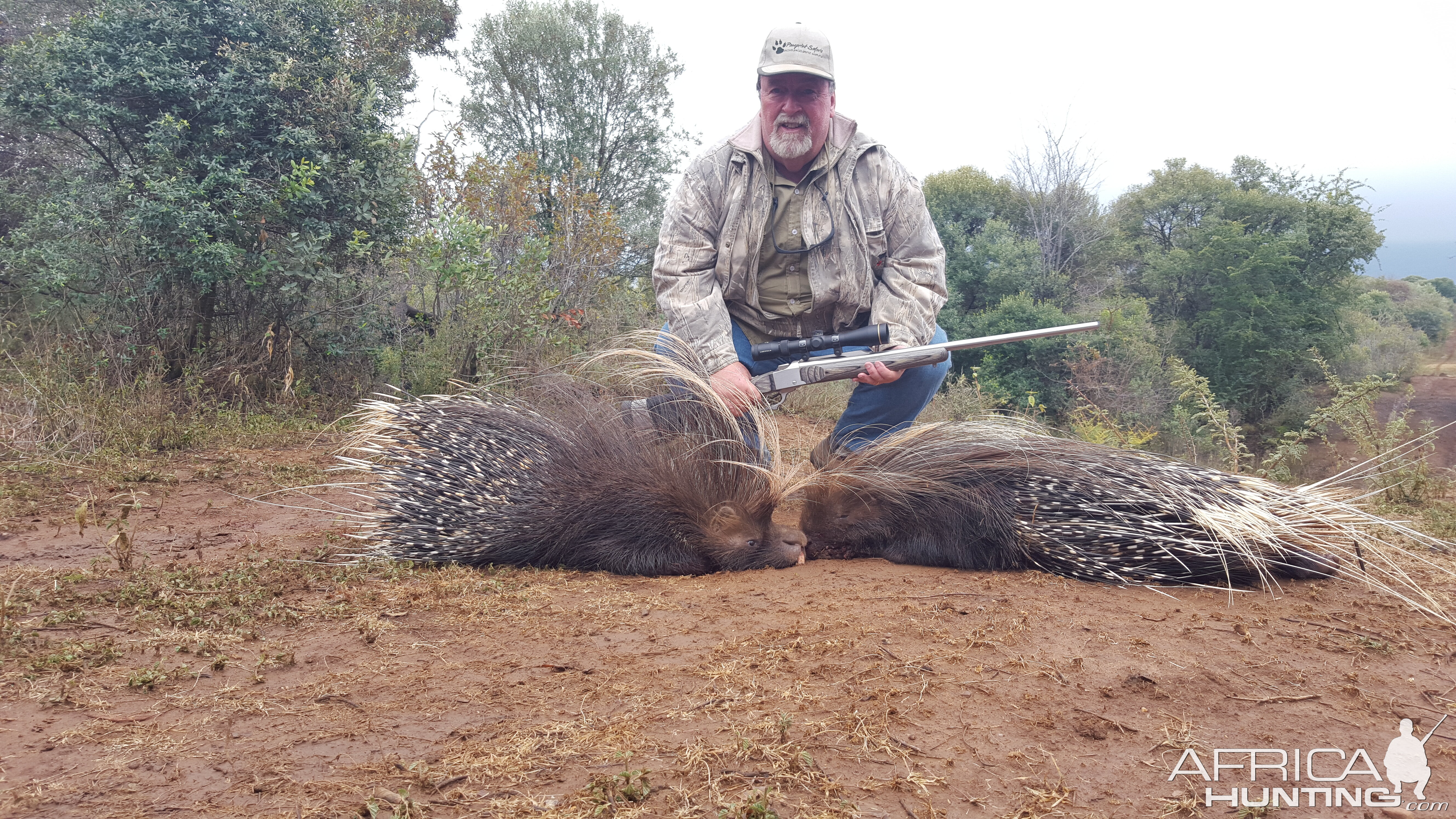 Hunting Porcupine South Africa