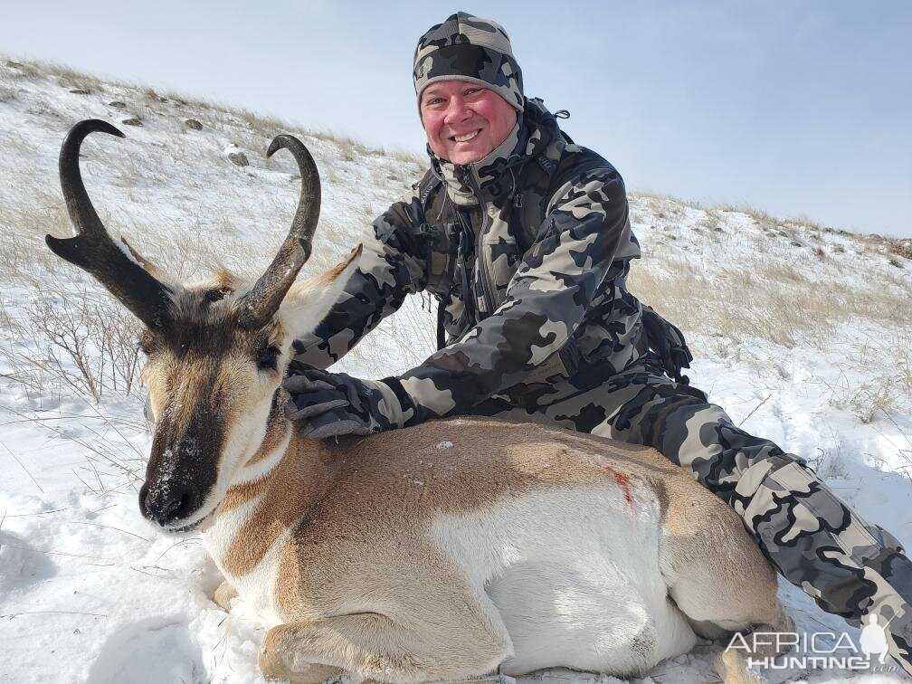 Hunting Pronghorn