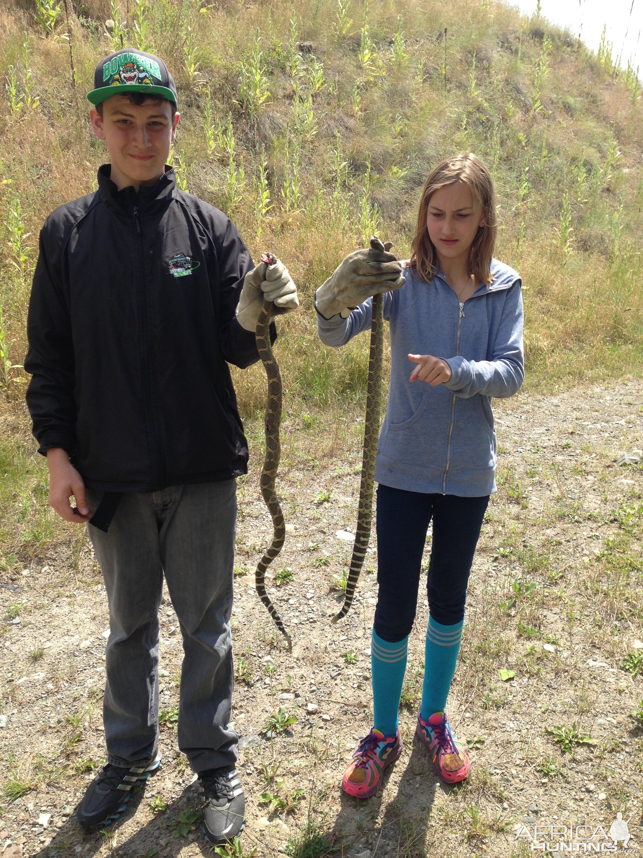 Hunting Rattlesnake