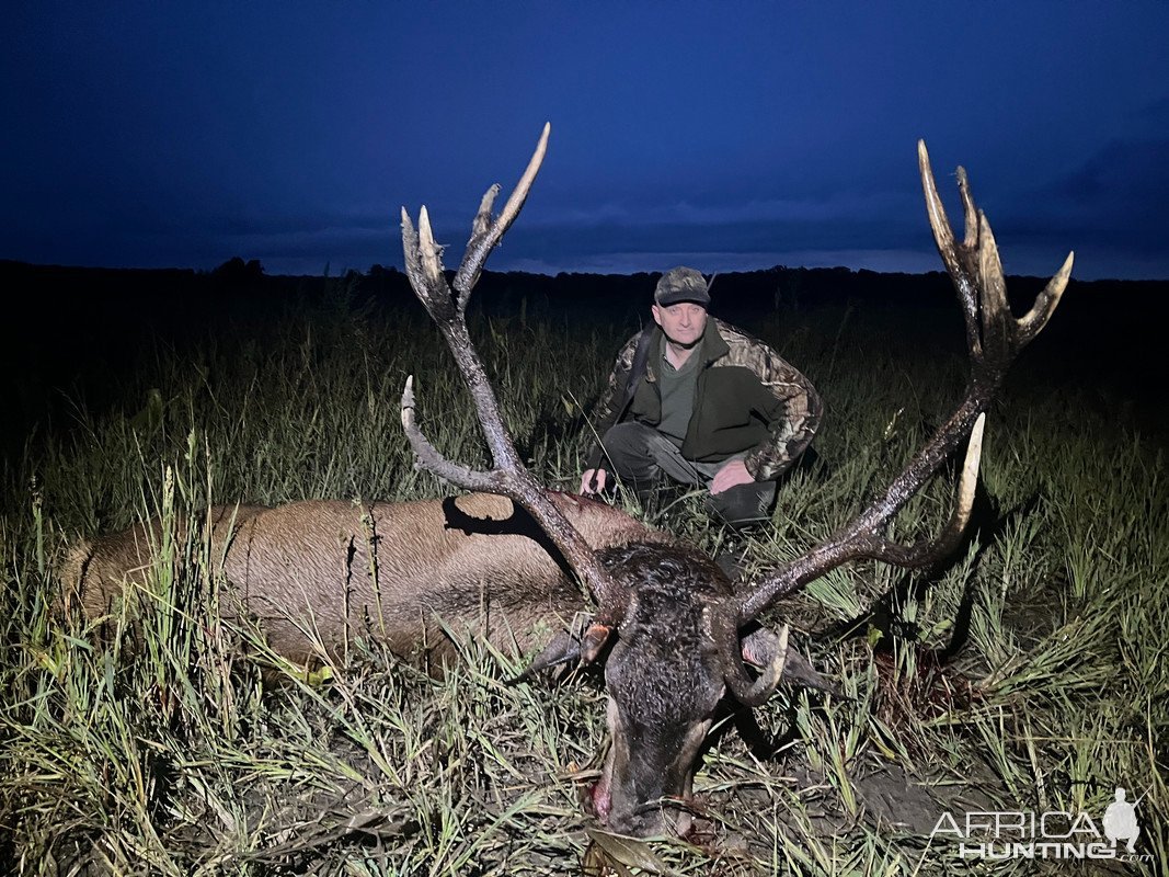 Hunting Red Deer Romania