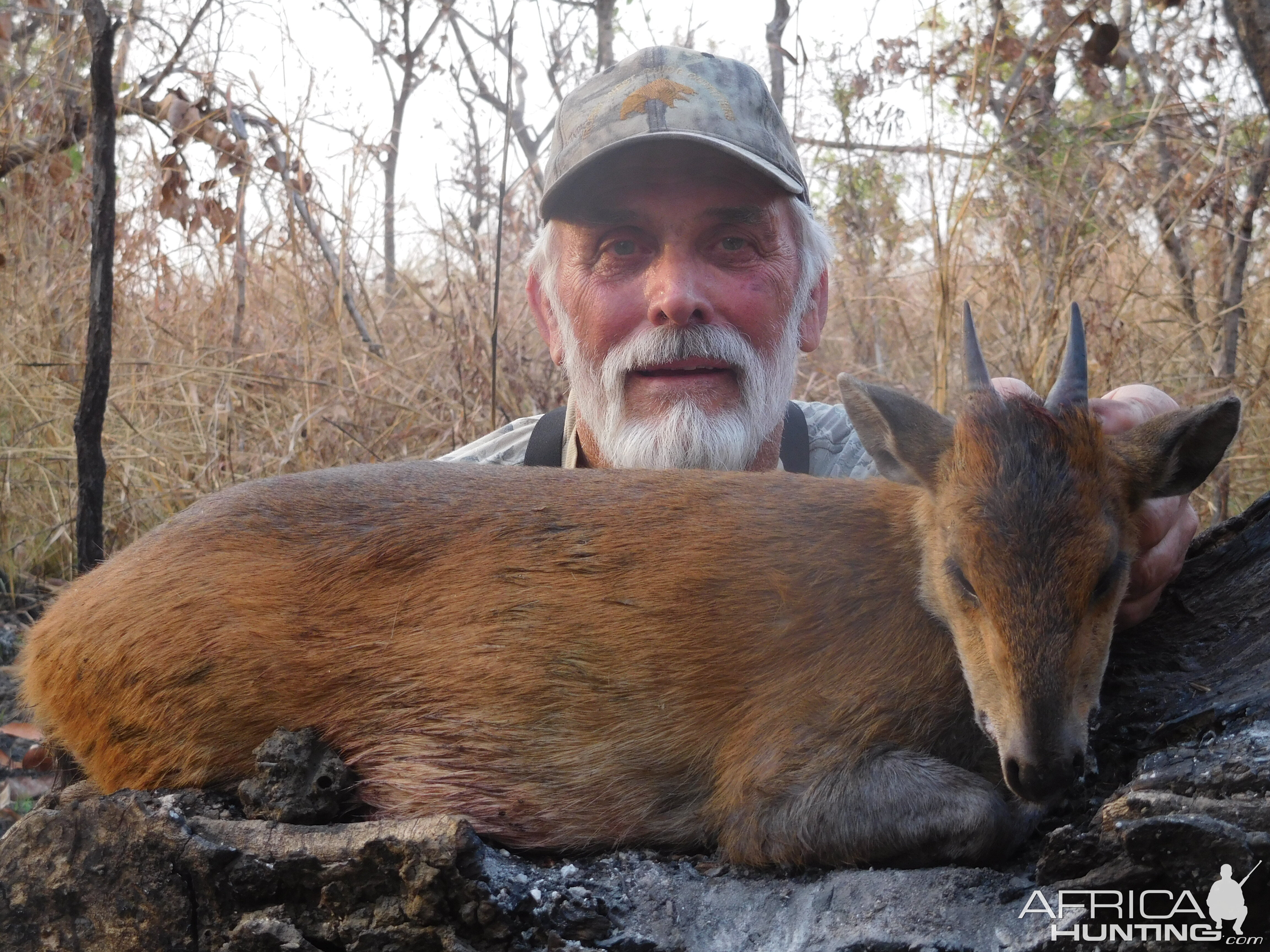 Hunting Red Flanked Duiker in Cameroon