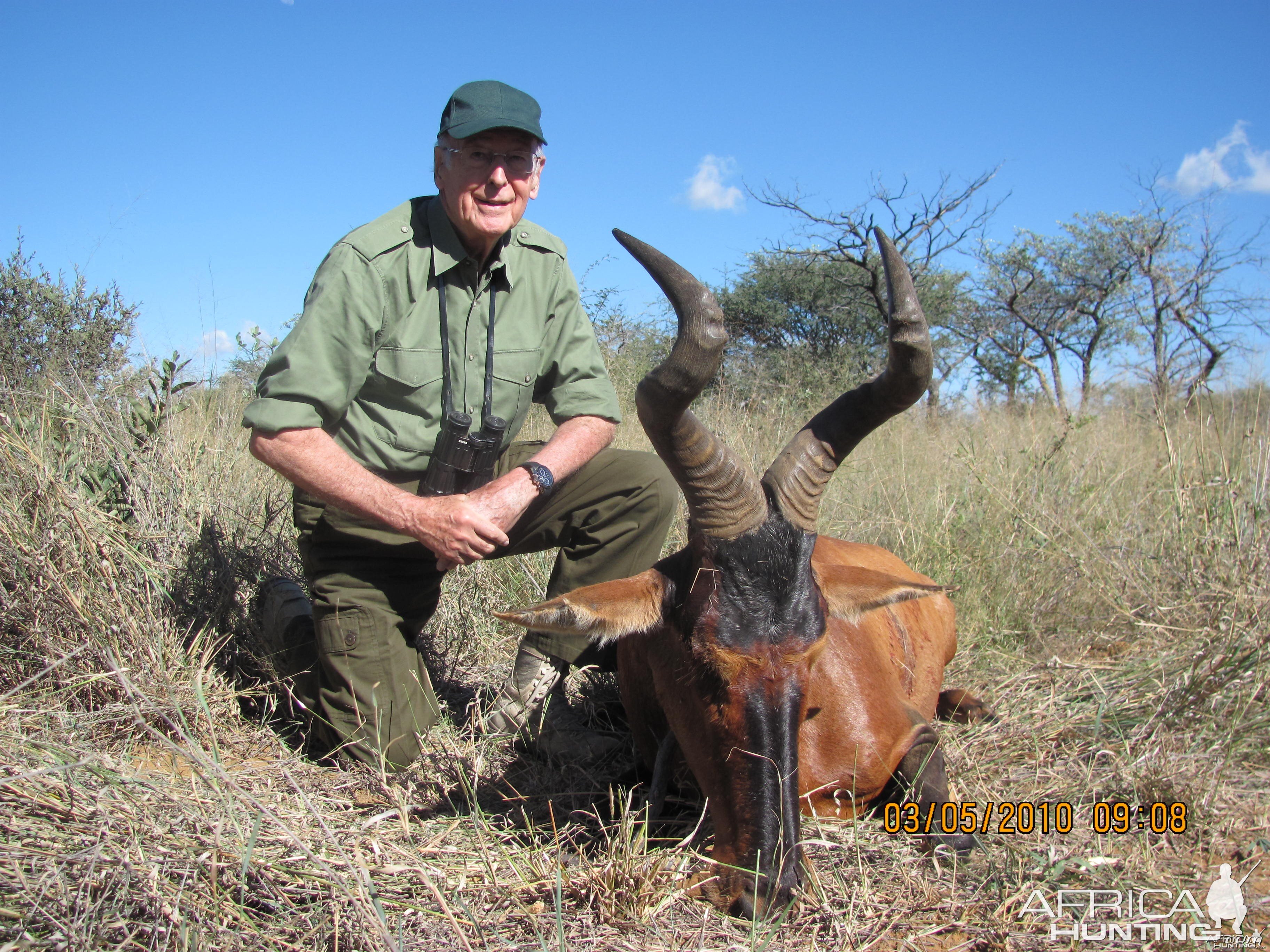 Hunting Red Hartebeest in Namibia