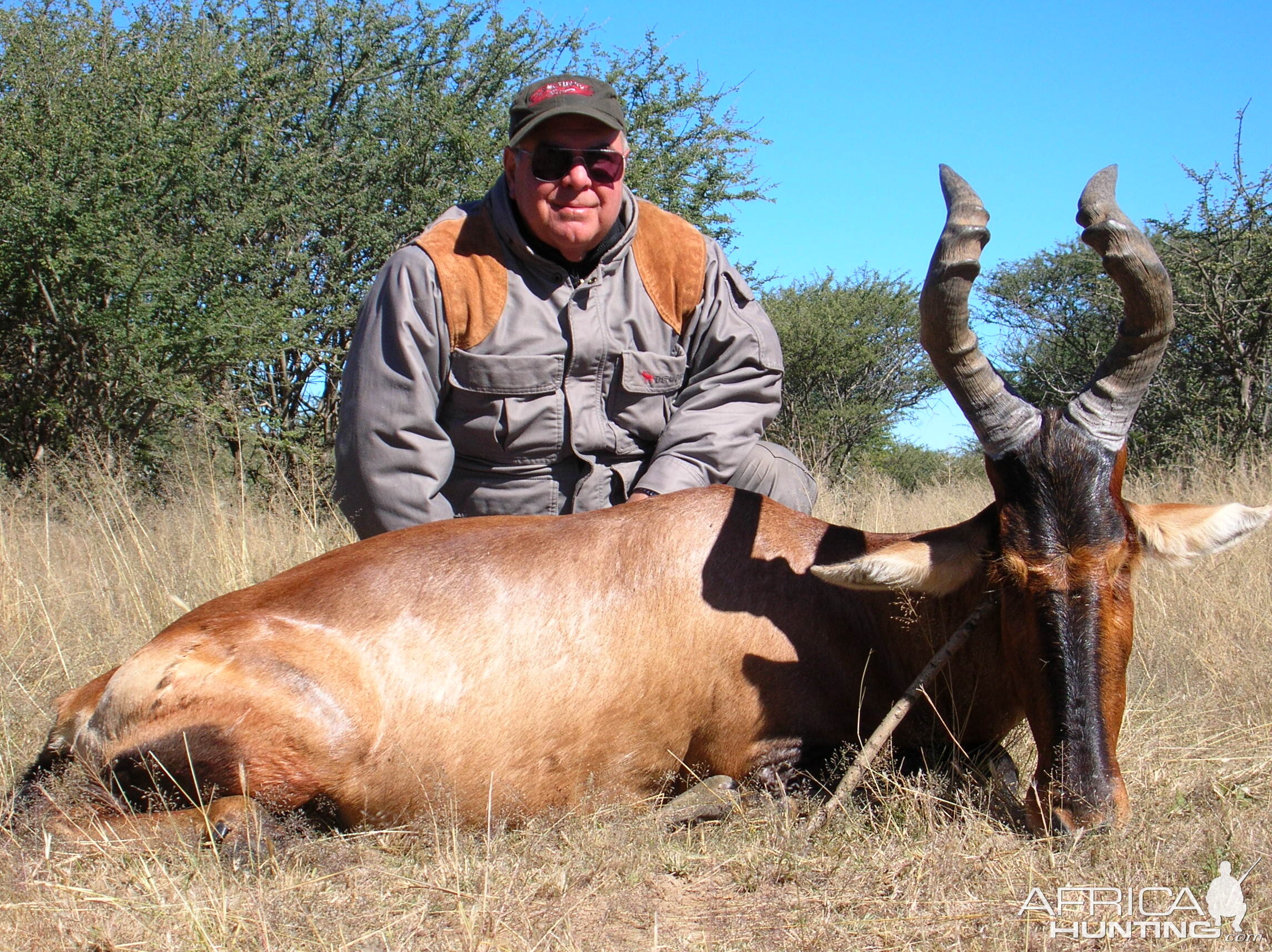 Hunting Red Hartebeest in Namibia