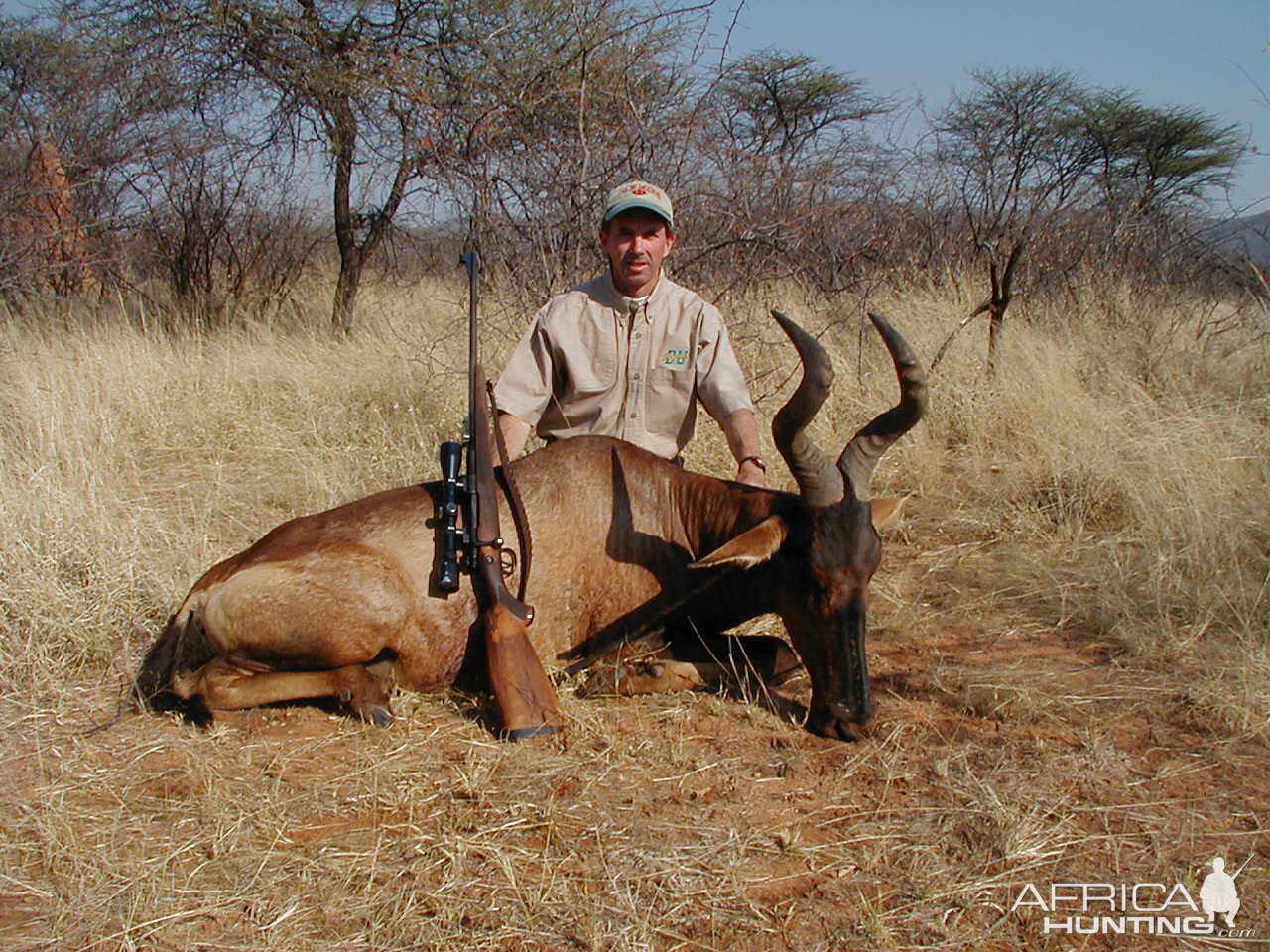 Hunting Red Hartebeest in Namibia