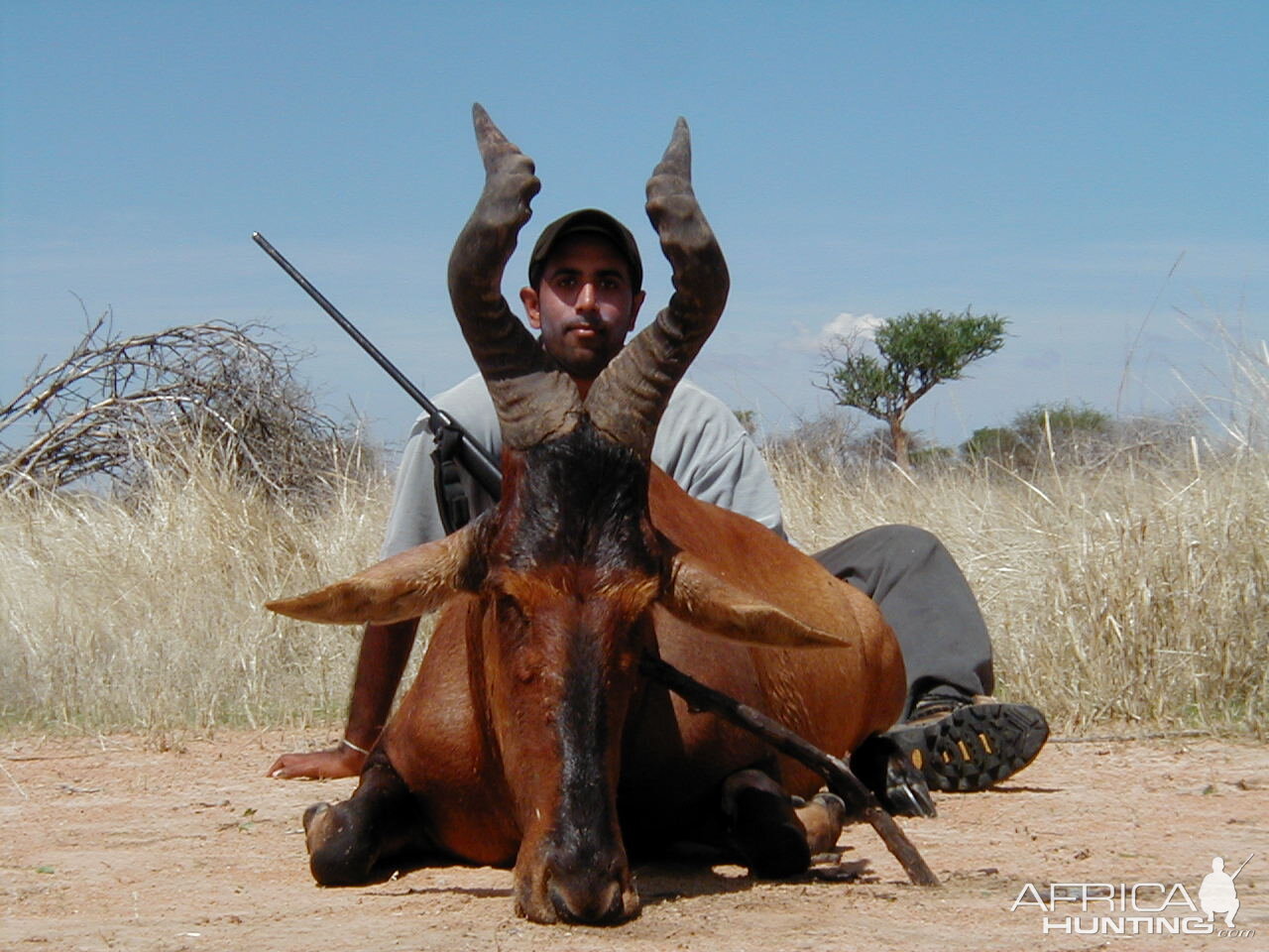 Hunting Red Hartebeest in Namibia