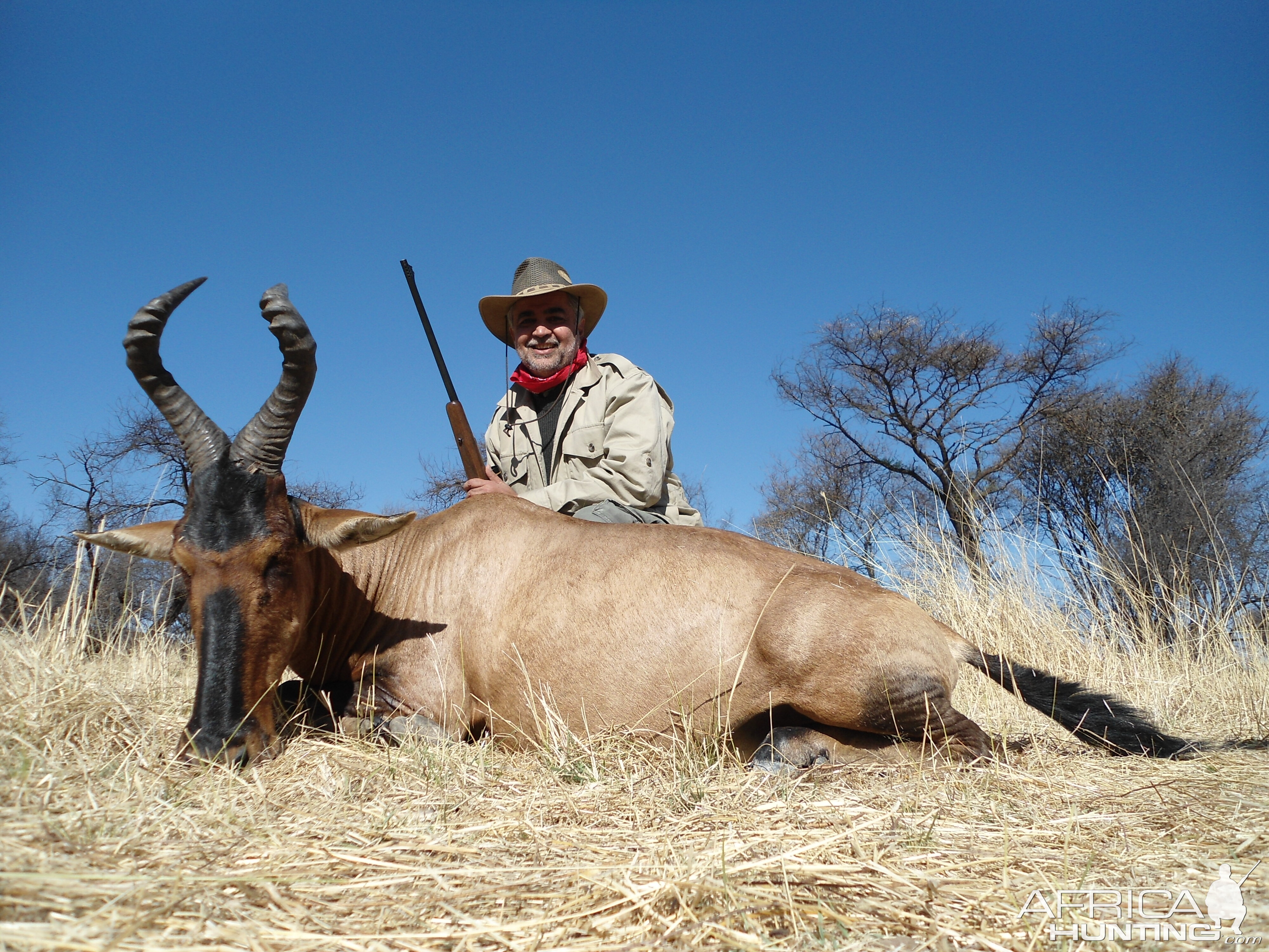 Hunting Red Hartebeest in Namibia