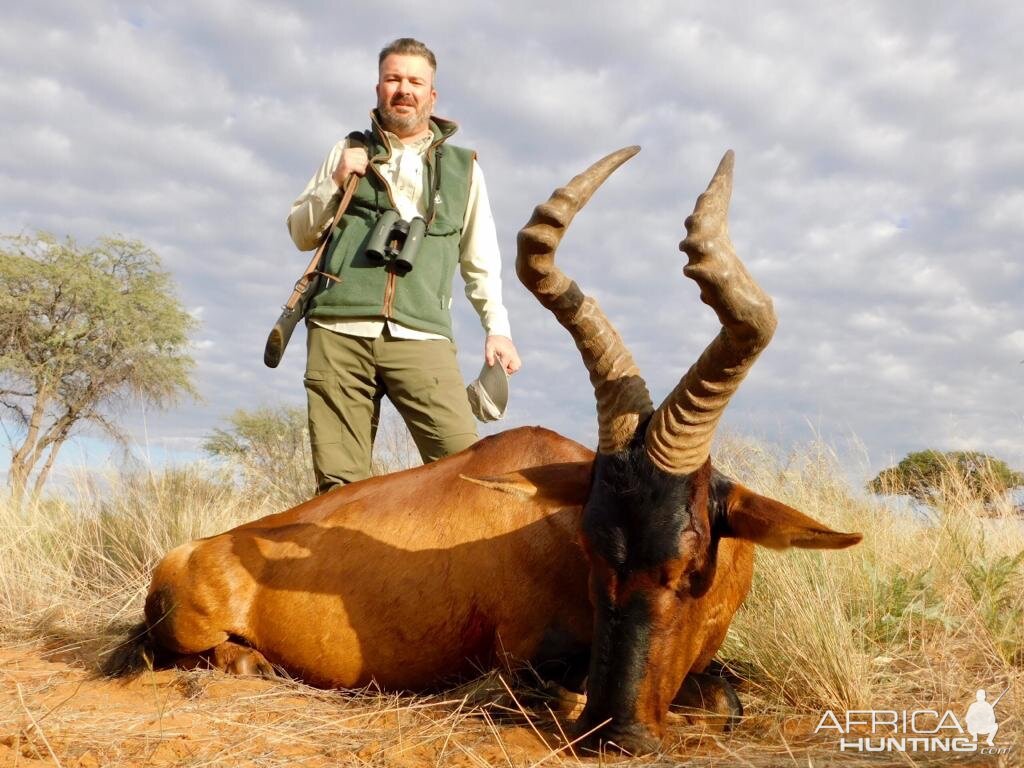 Hunting Red Hartebeest in Namibia