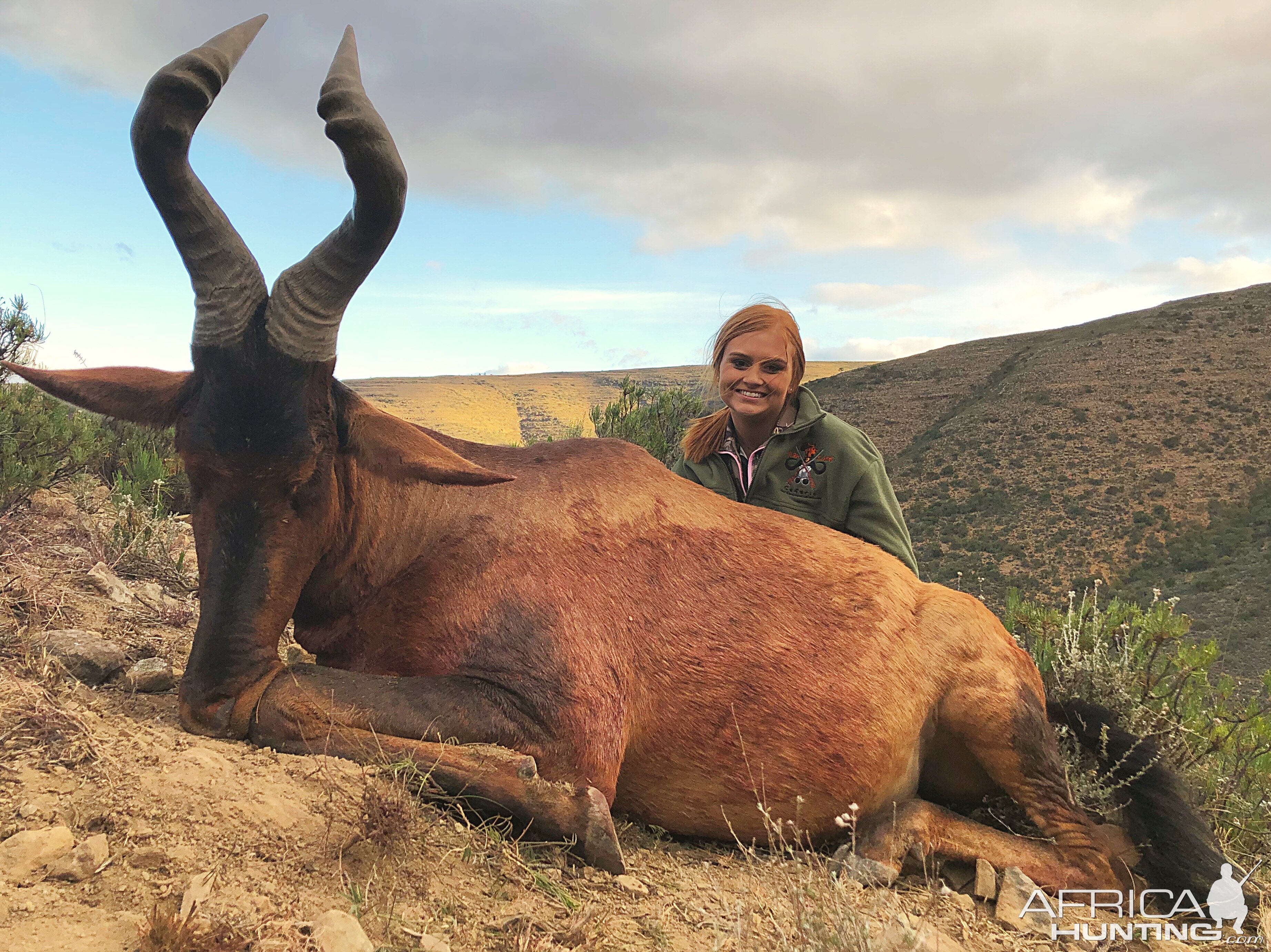 Hunting Red Hartebeest in South Africa