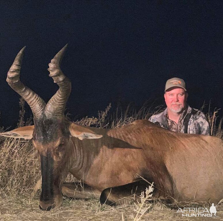 Hunting Red Hartebeest in South Africa