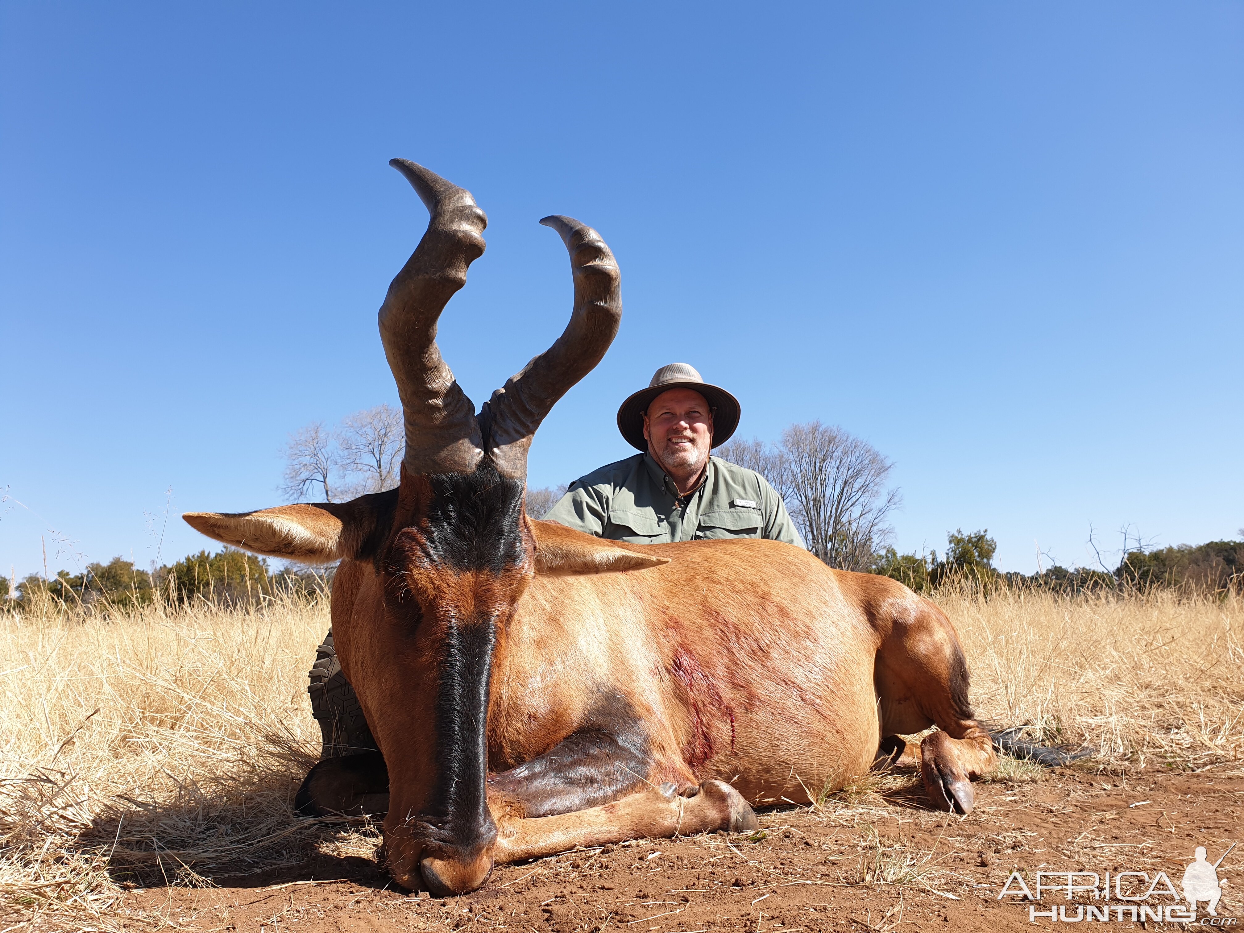 Hunting Red Hartebeest in South Africa