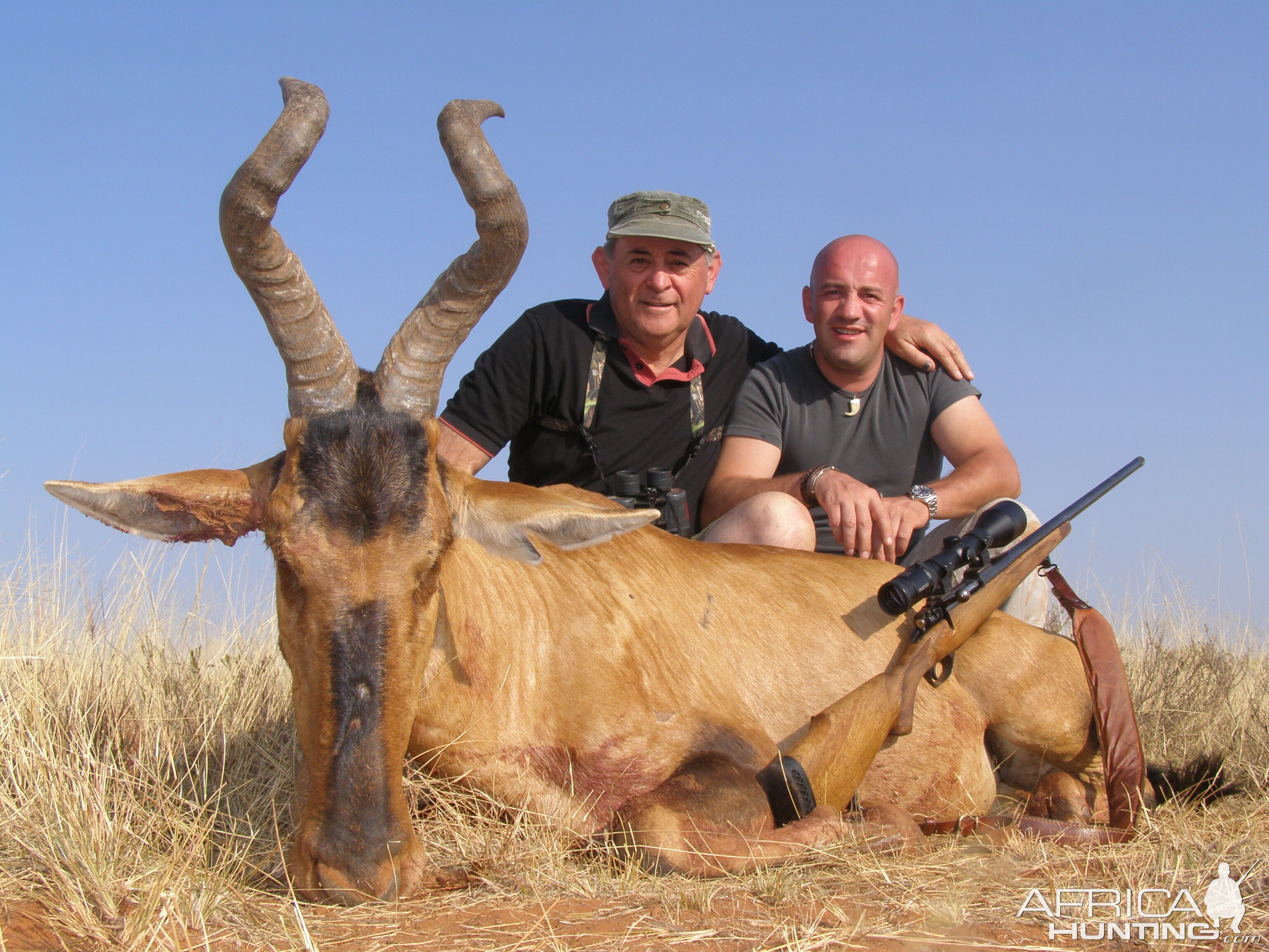 Hunting Red Hartebeest with Wintershoek Johnny Vivier Safaris in SA