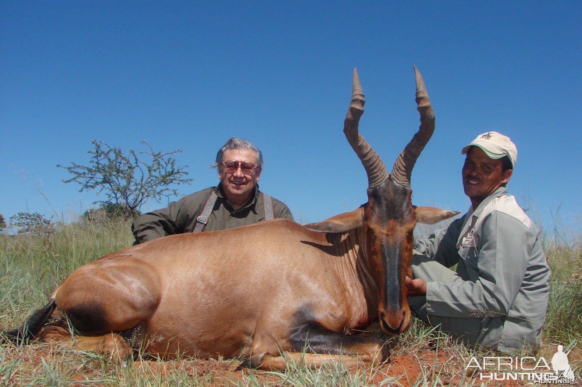 Hunting Red Hartebeest with Wintershoek Johnny Vivier Safaris in SA