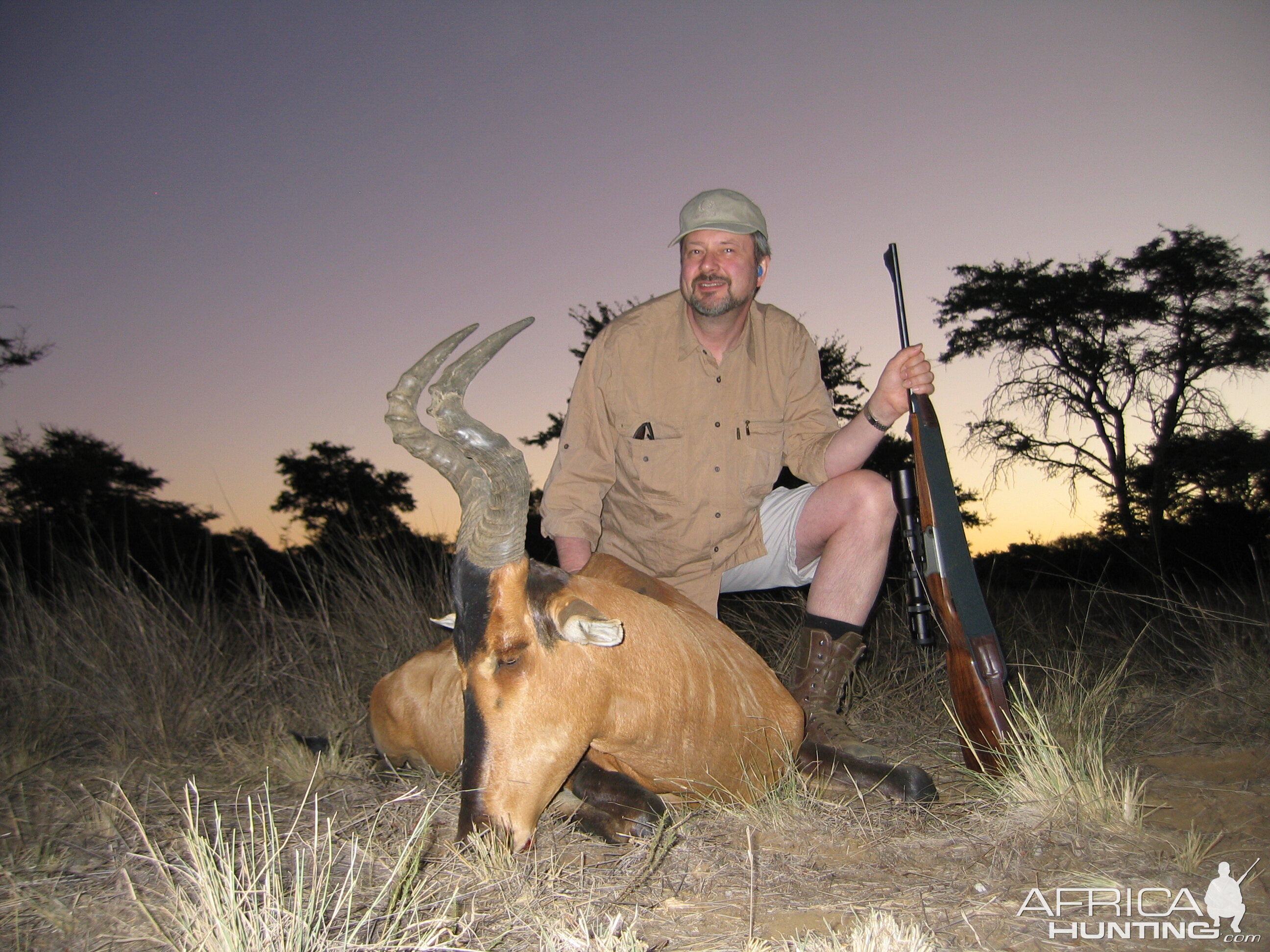 Hunting Red Hartebeest