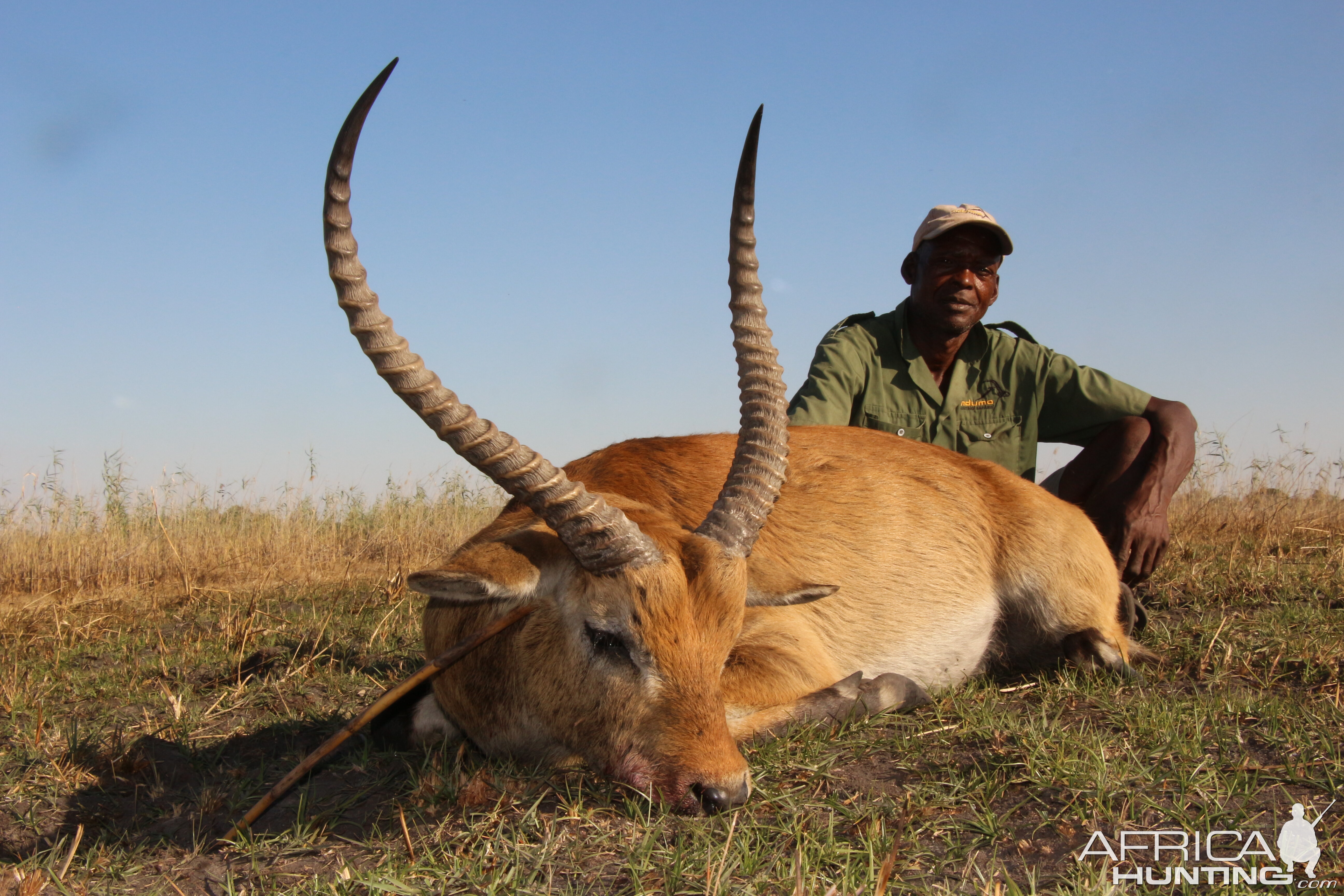 Hunting Red Lechwe in Namibia