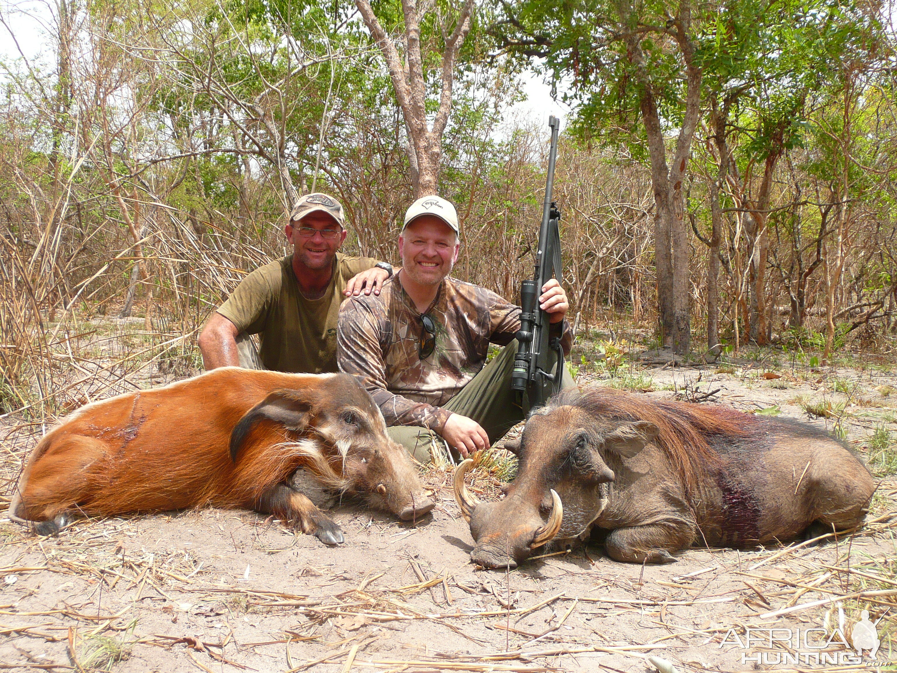 Hunting Red River Hog and Warthog