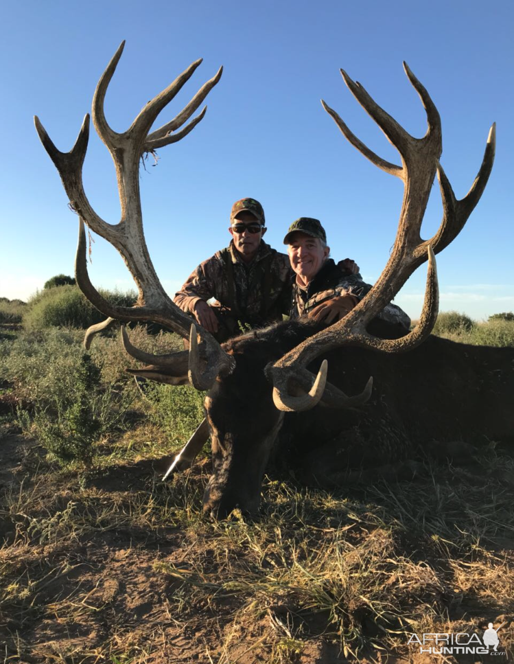 Hunting Red Stag in Argentina