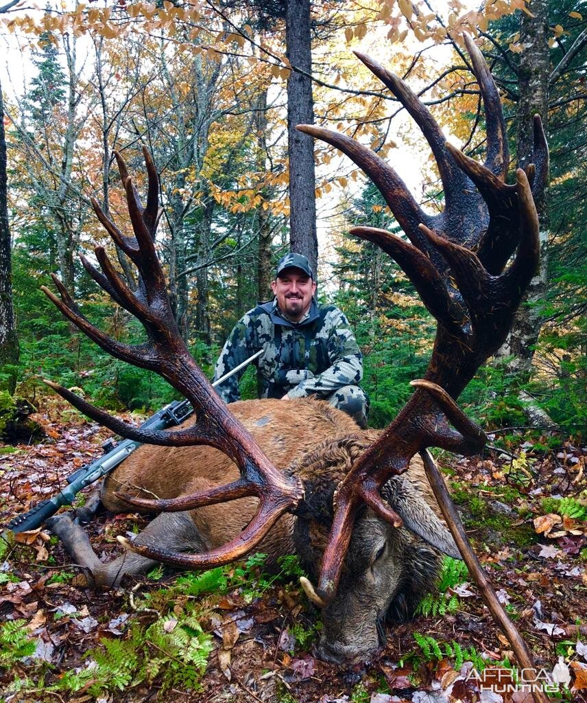 Hunting Red Stag in Canada