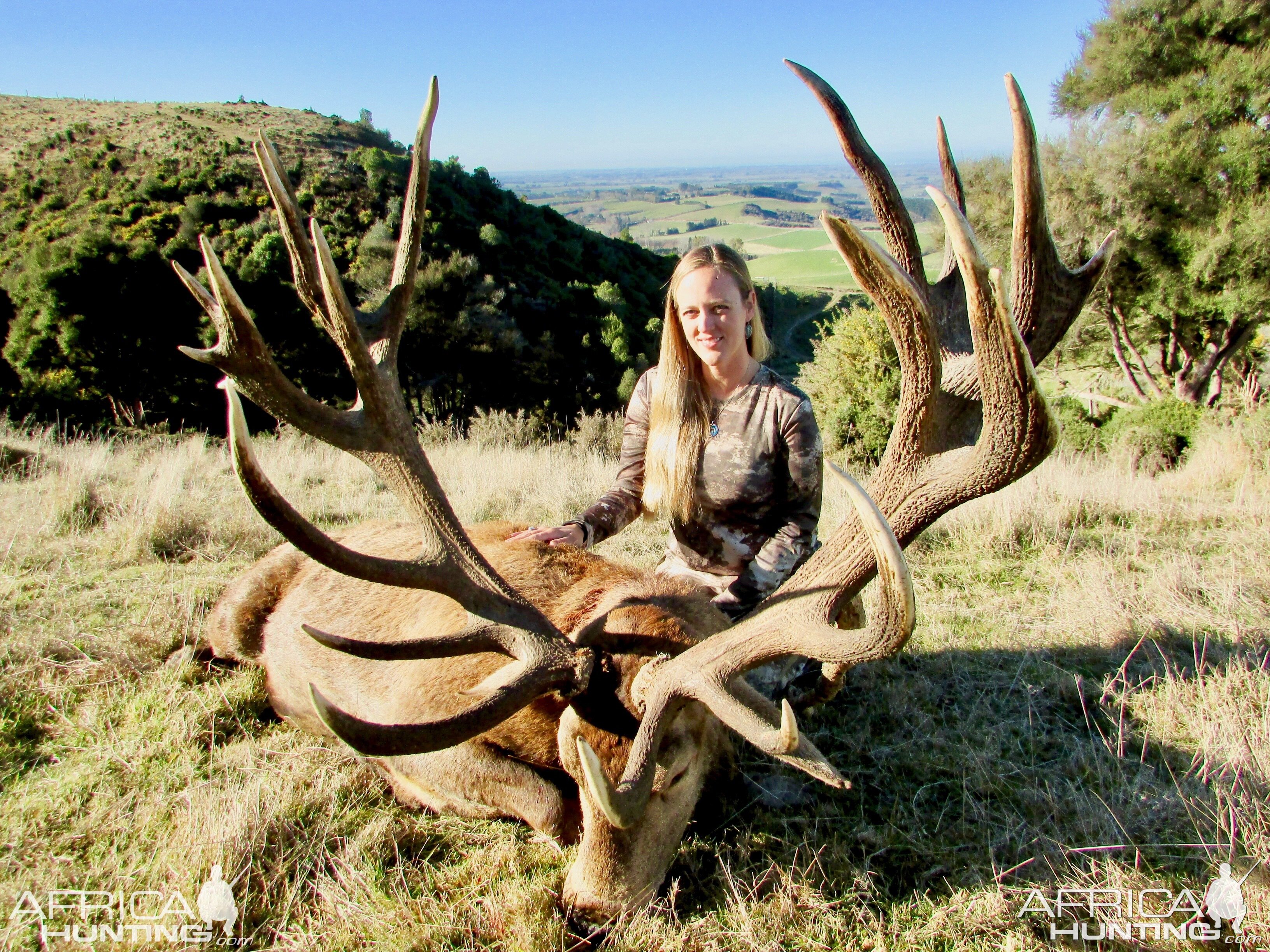 Hunting Red Stag in New Zealand