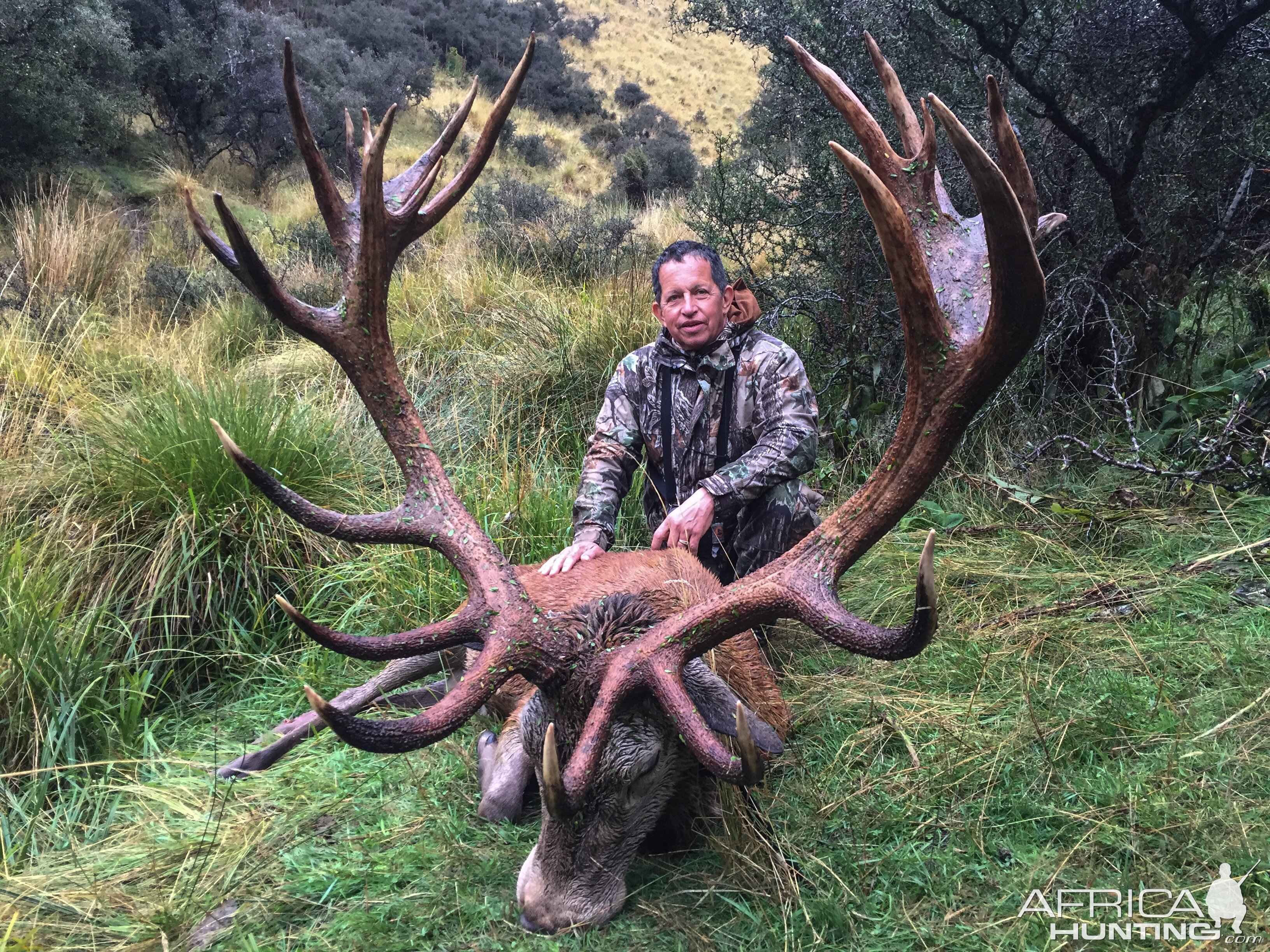 Hunting Red Stag New Zealand | AfricaHunting.com