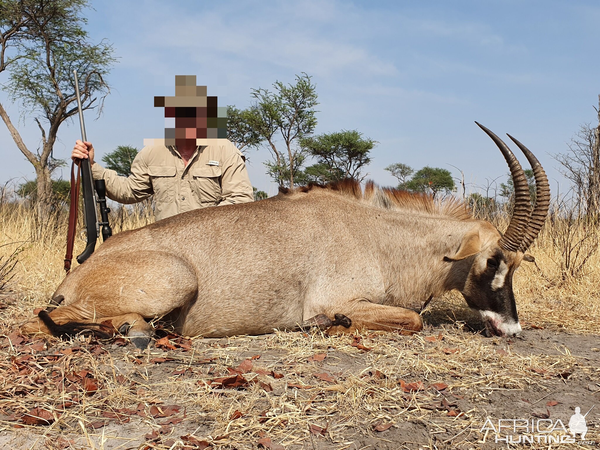 Hunting Roan in Namibia