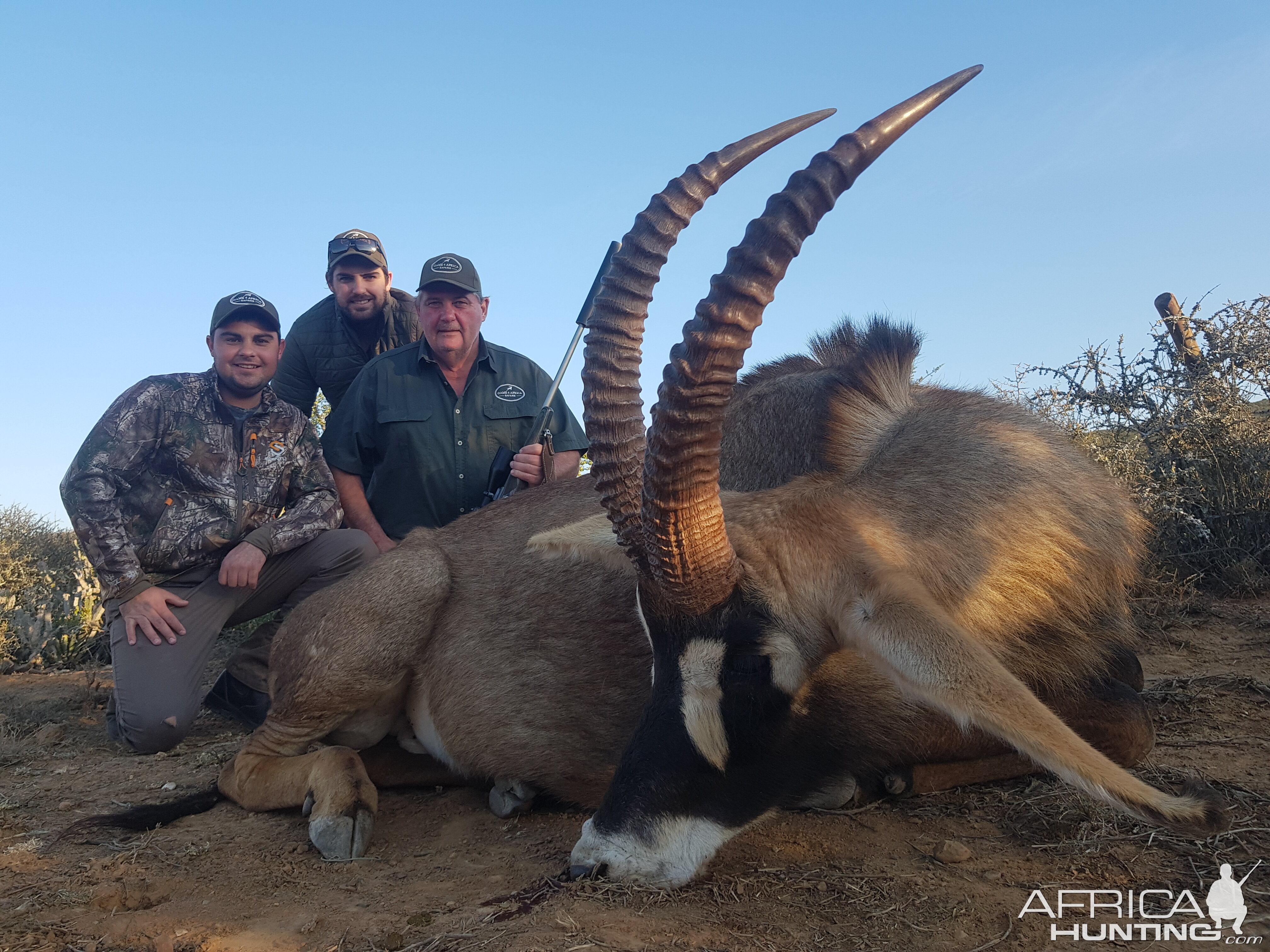 Hunting Roan in South Africa