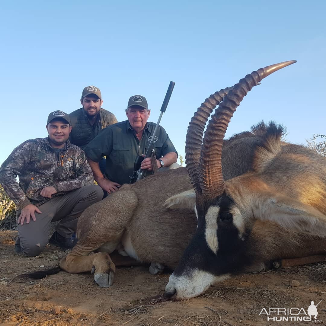 Hunting Roan in South Africa