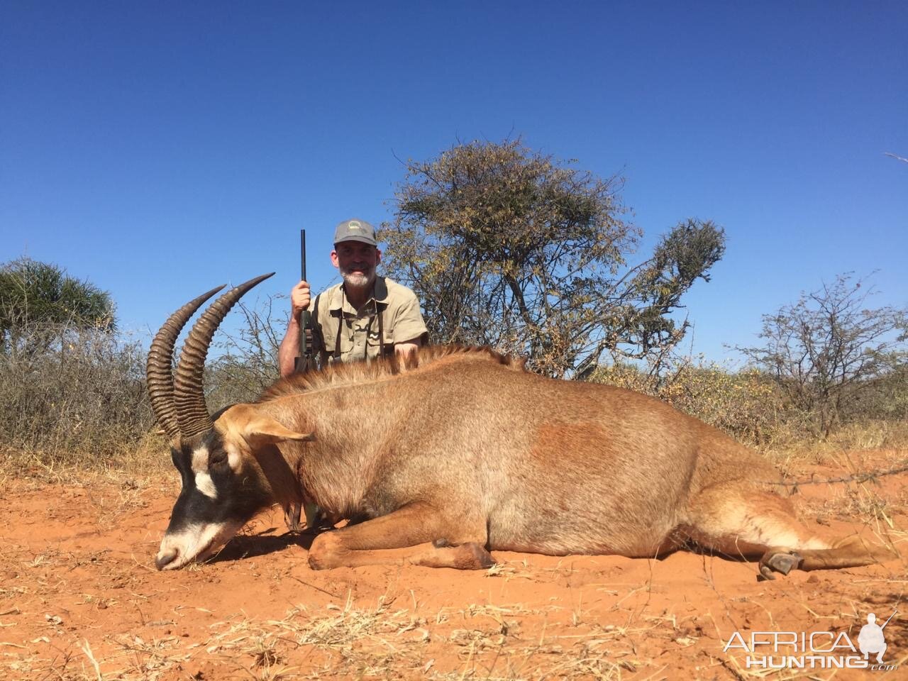 Hunting Roan in South Africa