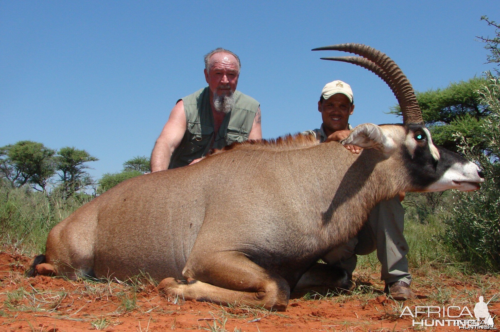 Hunting Roan with Wintershoek Johnny Vivier Safaris in SA